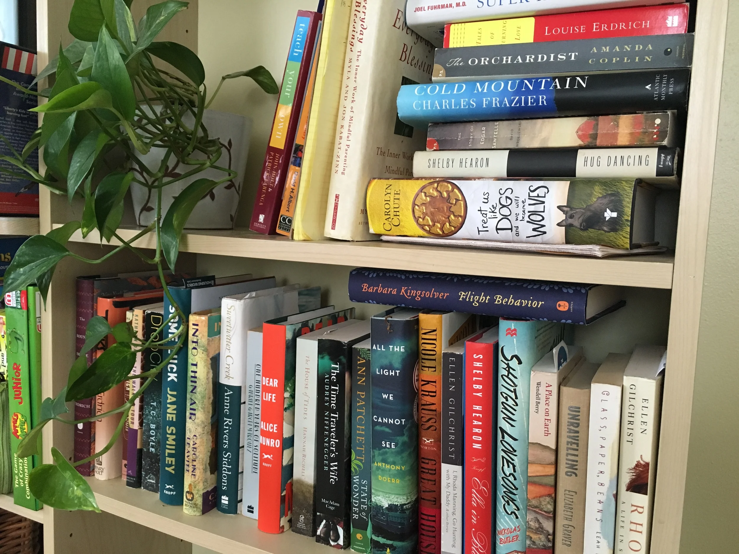 I suppose the shelf could be more accurately described as “shelves.