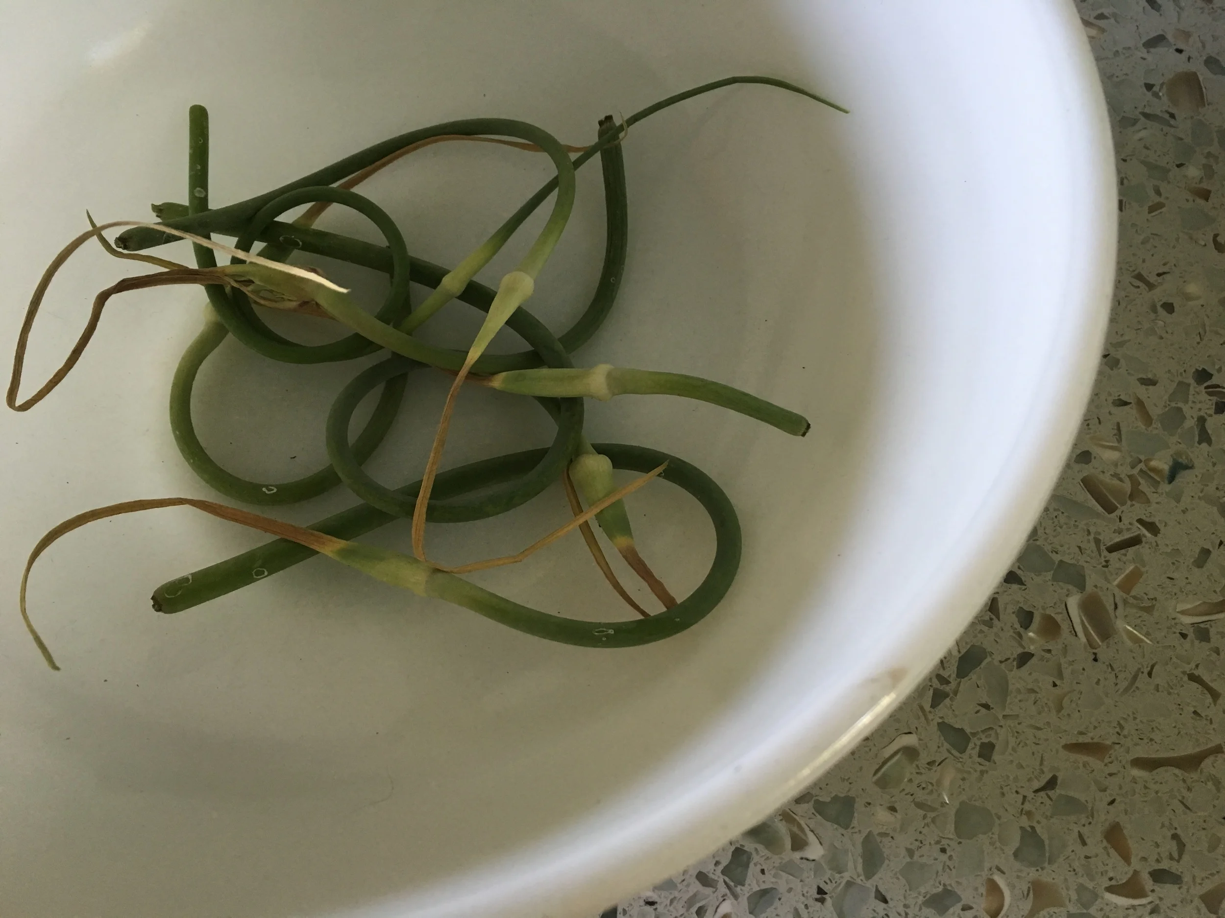 And look! You get weird stuff like garlic scapes with which you have no idea what to do! Then you figure it out and make a fabulous bean dip with them in it and you’re like, I learned something—thanks, farm box!