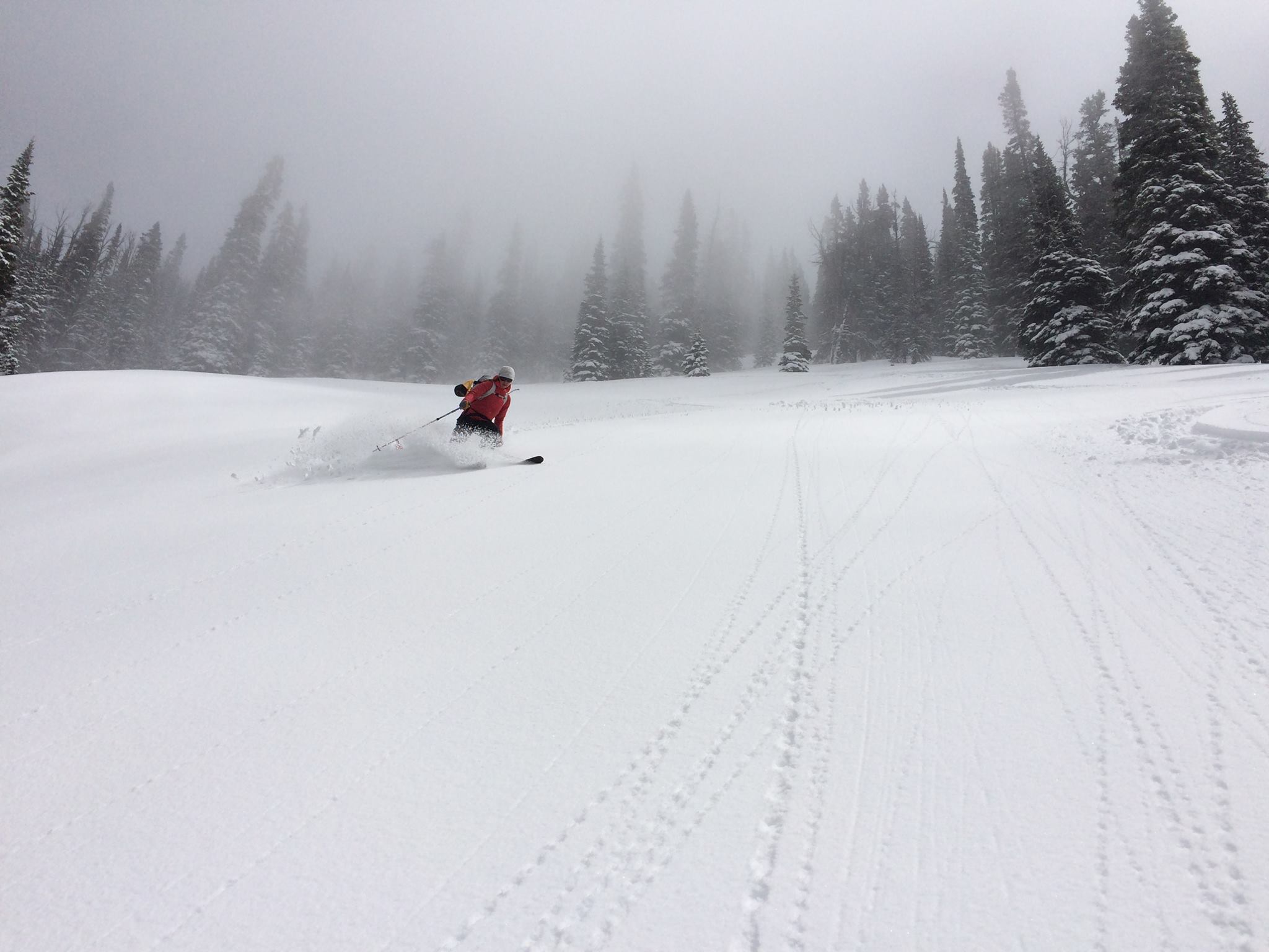 Lizzie skiing in the backcountry. 