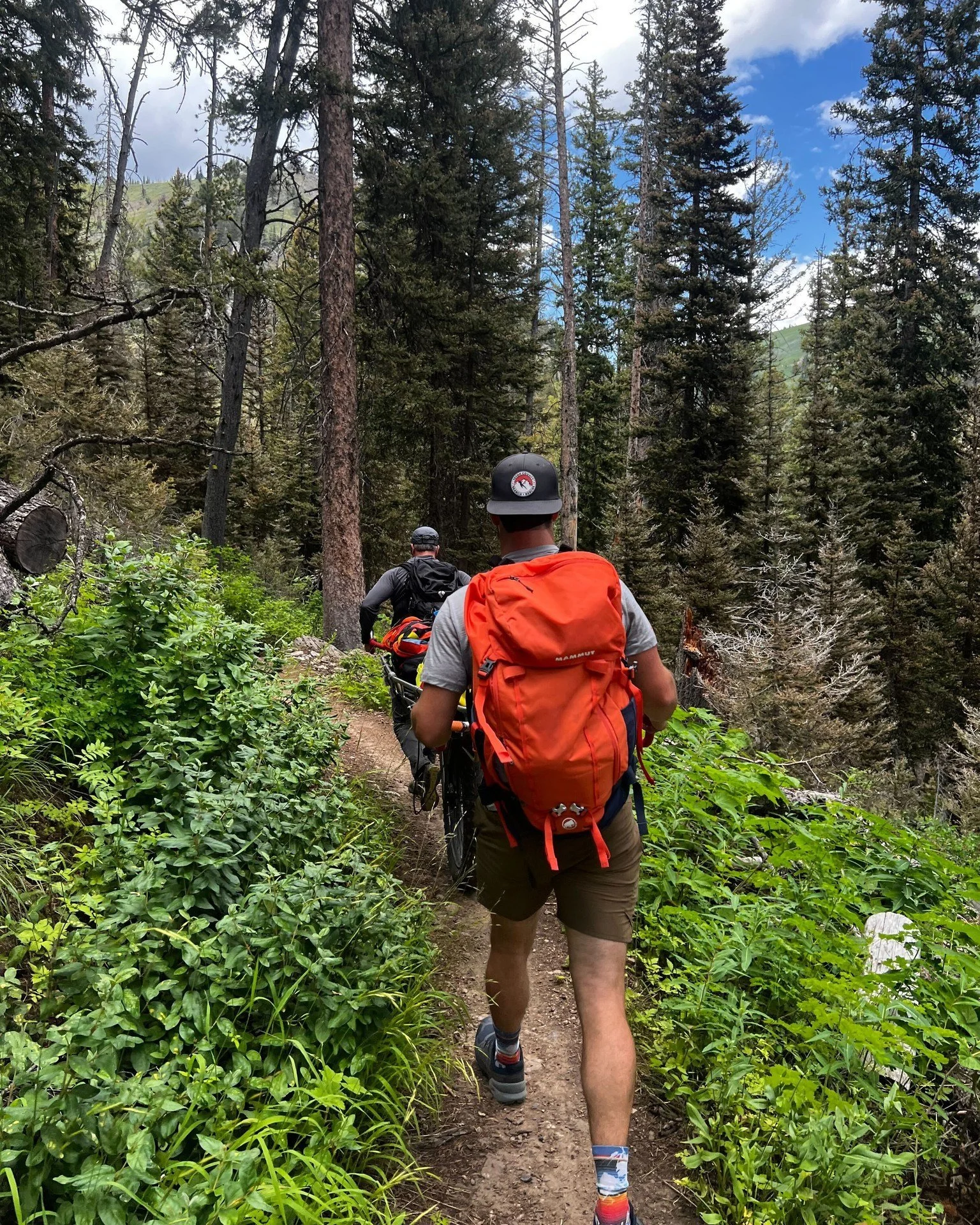 At 12:40 p.m. on Tuesday, July 22, Teton County Search &amp; Rescue was alerted to an injured mountain biker on the Phillips Canyon trail. The biker, a 47-year-old local woman, had crashed while descending the trail and sustained injuries that preven