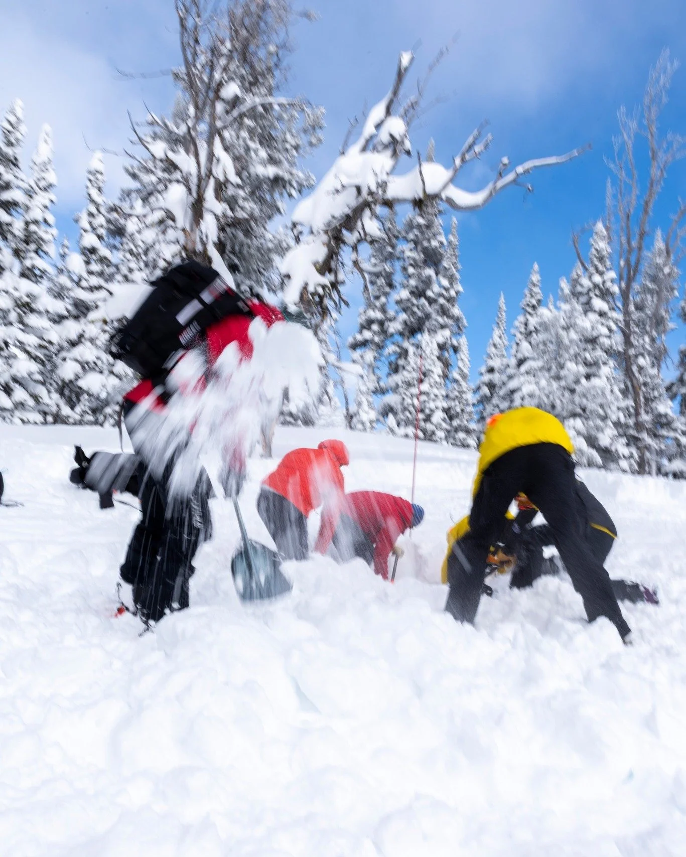 Another April weekend, another spring storm that dropped up to 20 inches of new snow in the Tetons.

This season, TCSAR volunteers responded to three avalanche rescue calls. Two of those calls occurred in just the past few weeks. 

Meaning: Please re