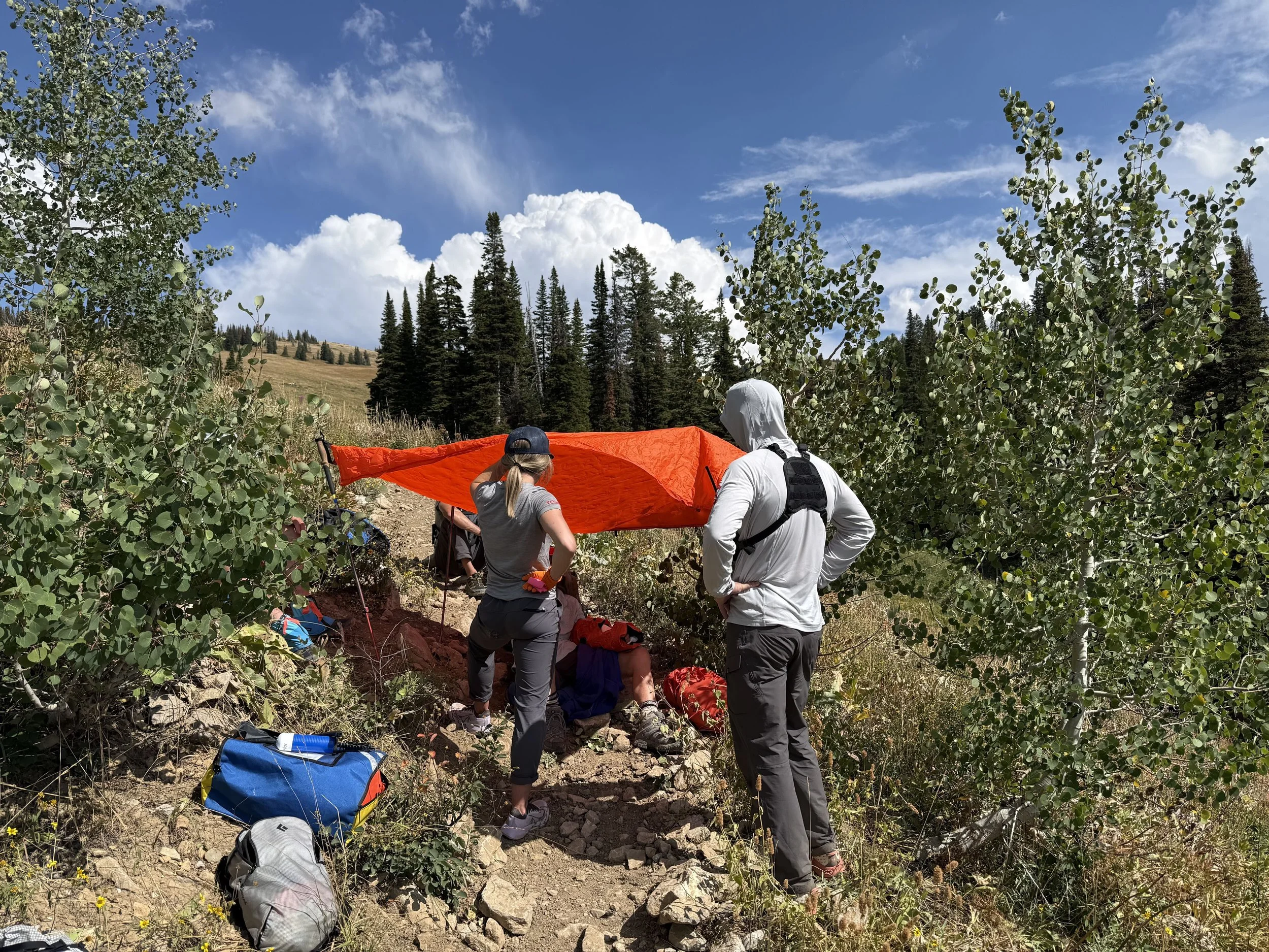 North Leigh_wheeled litter_8.24.26.jpg