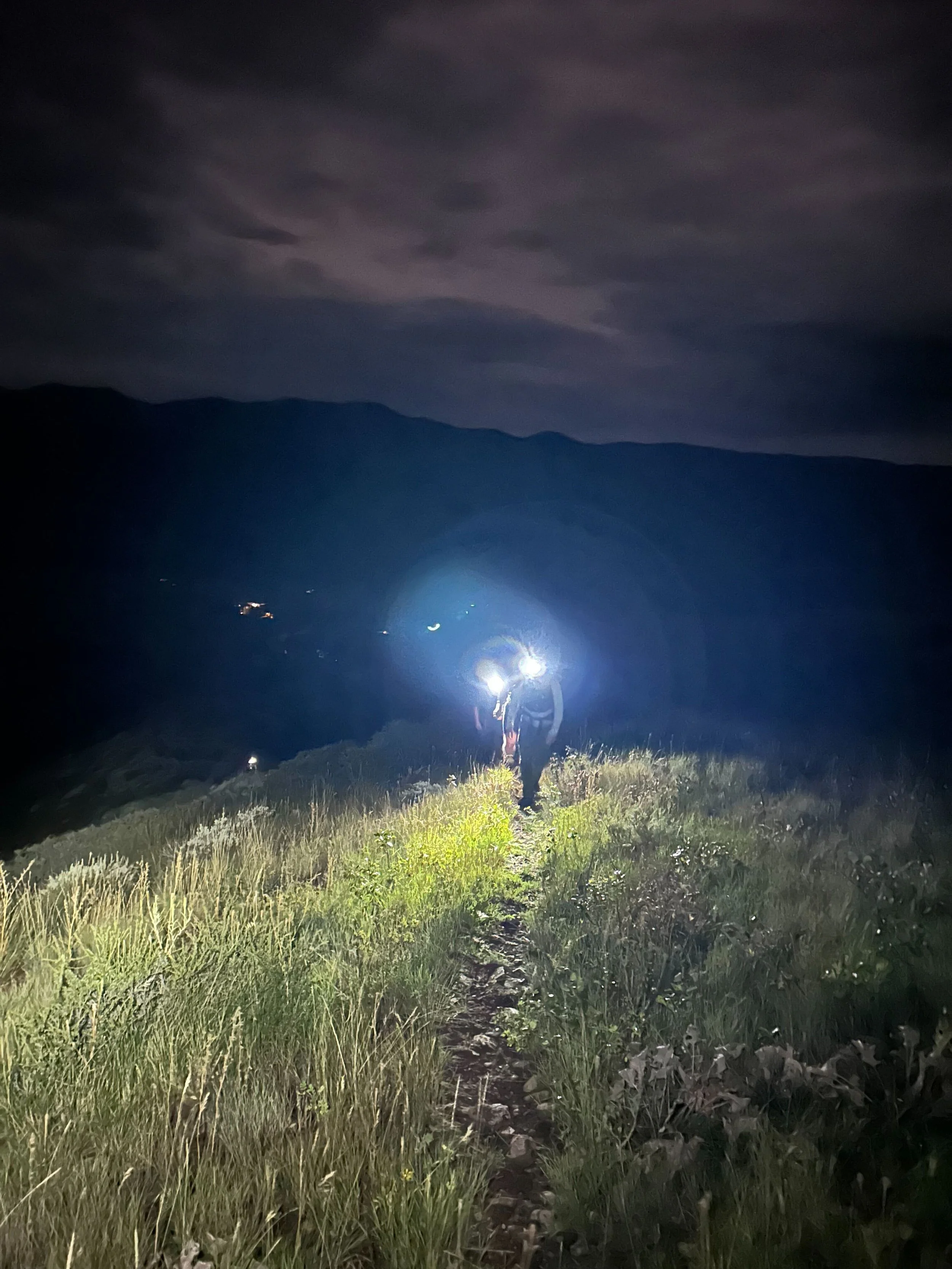 Cream Puff_lost hiker_8.27.28.jpg