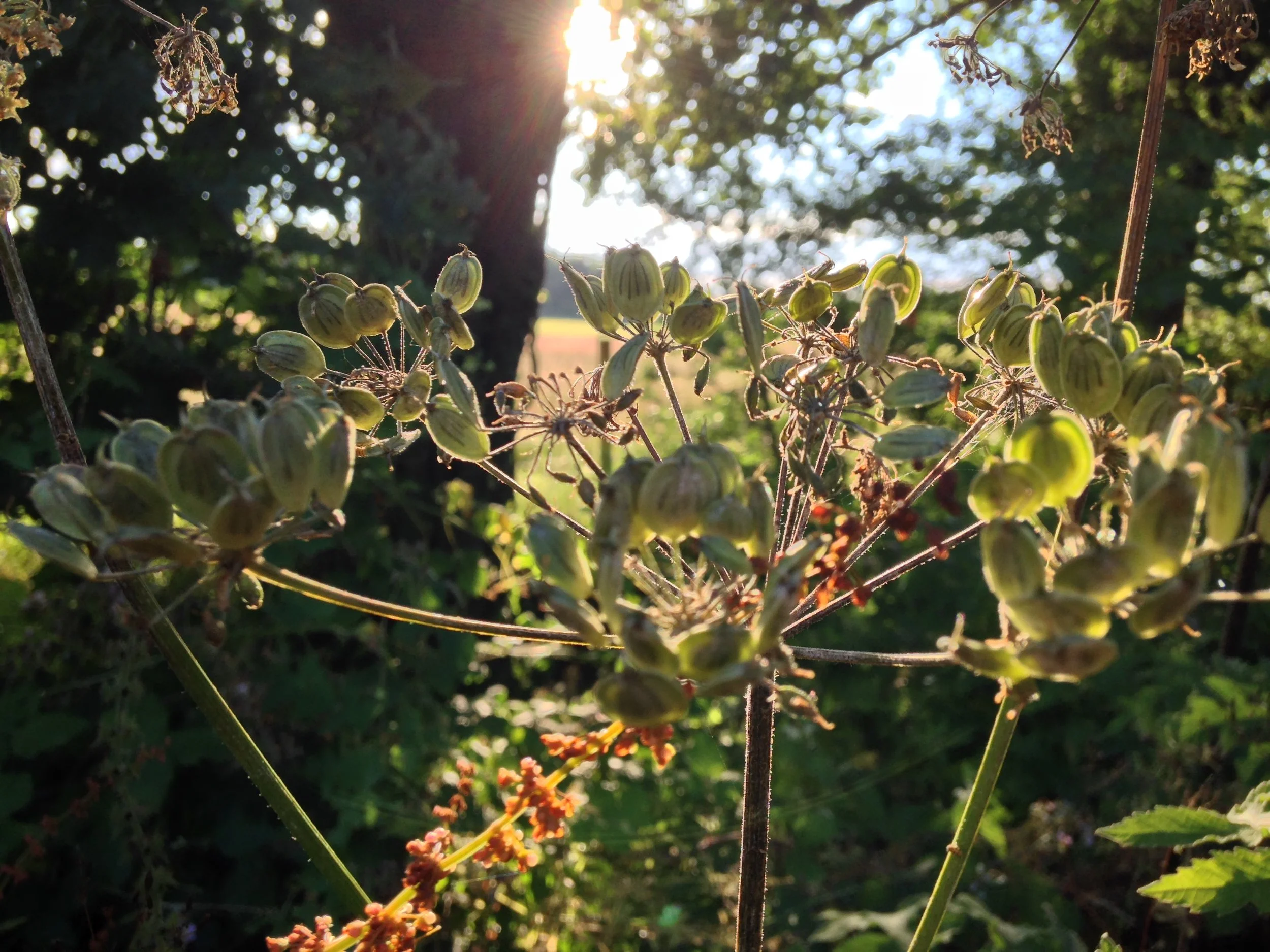 Transformation: Living in Both-Ands