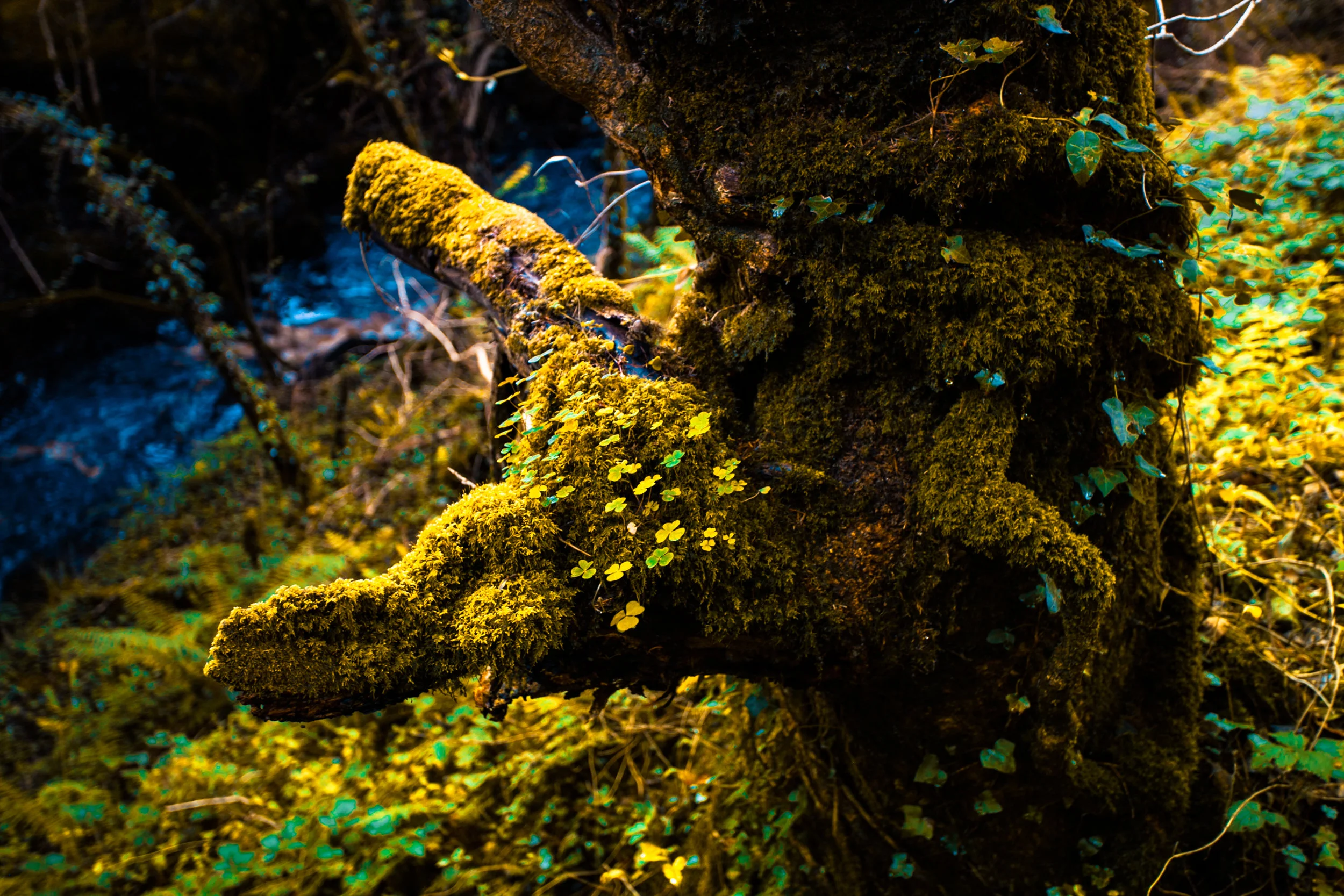 Sabbath: To Work from a Place of Rest (Sabbath II)