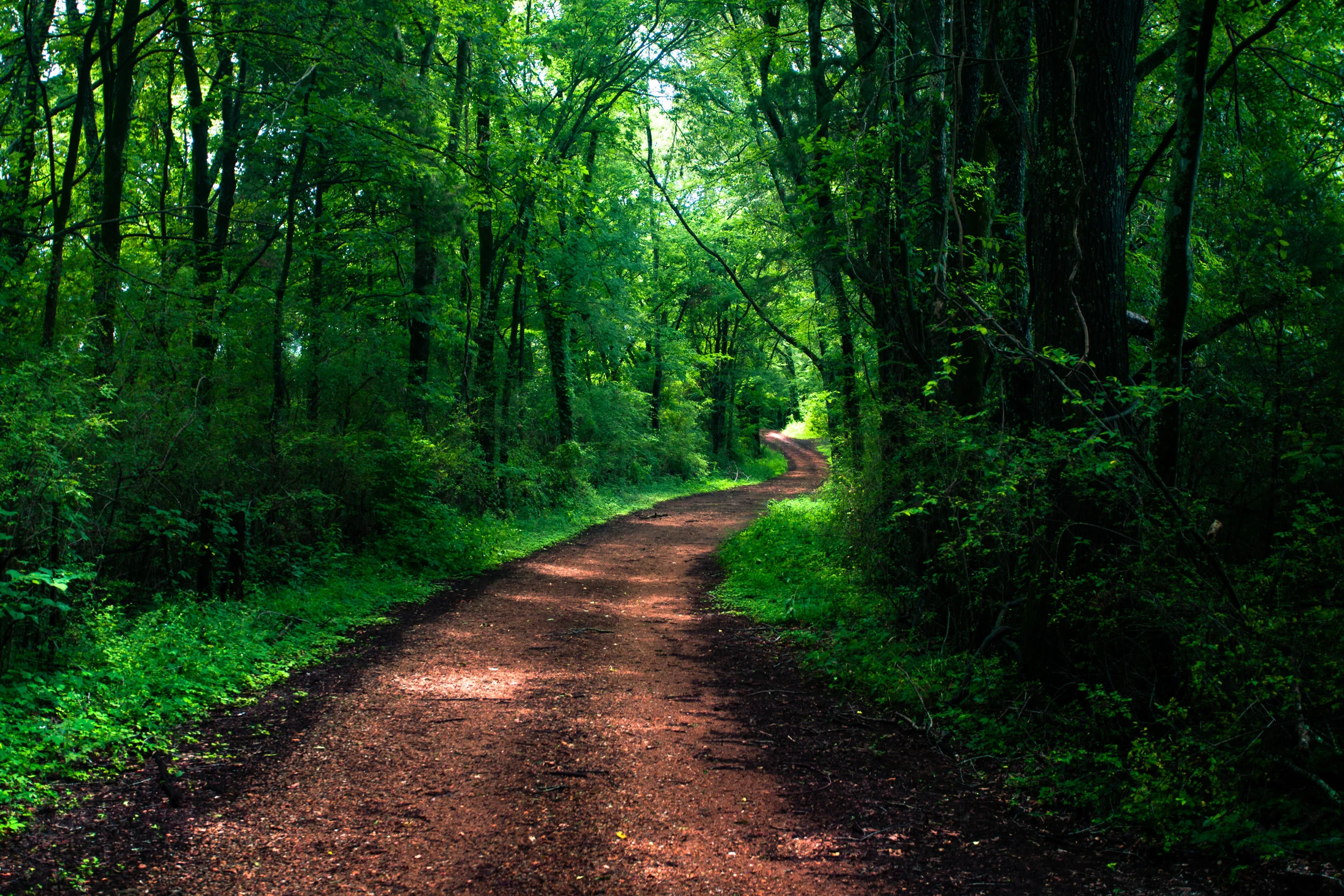 The Path to Empty (Fasting II)