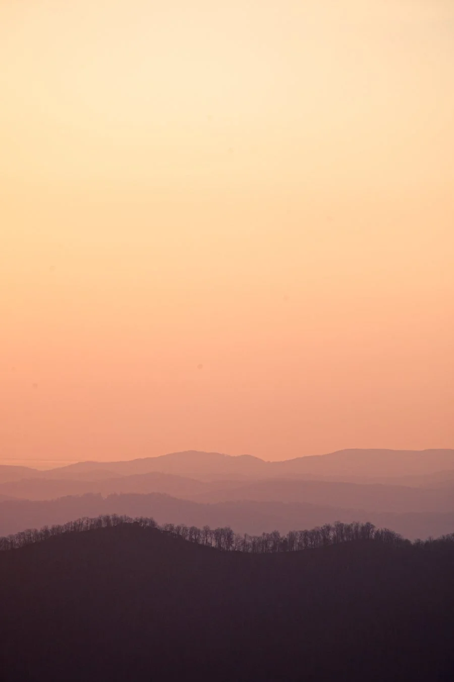 After the Party, at Middle Age