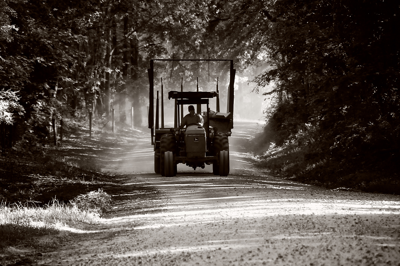 Farm abstracts by Shane compiled for Canvas prints Jan 2011 001.jpg