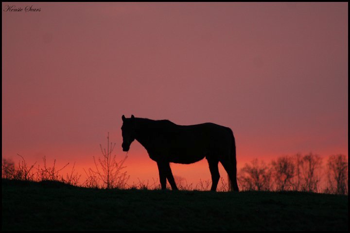 PeachSunset.jpg