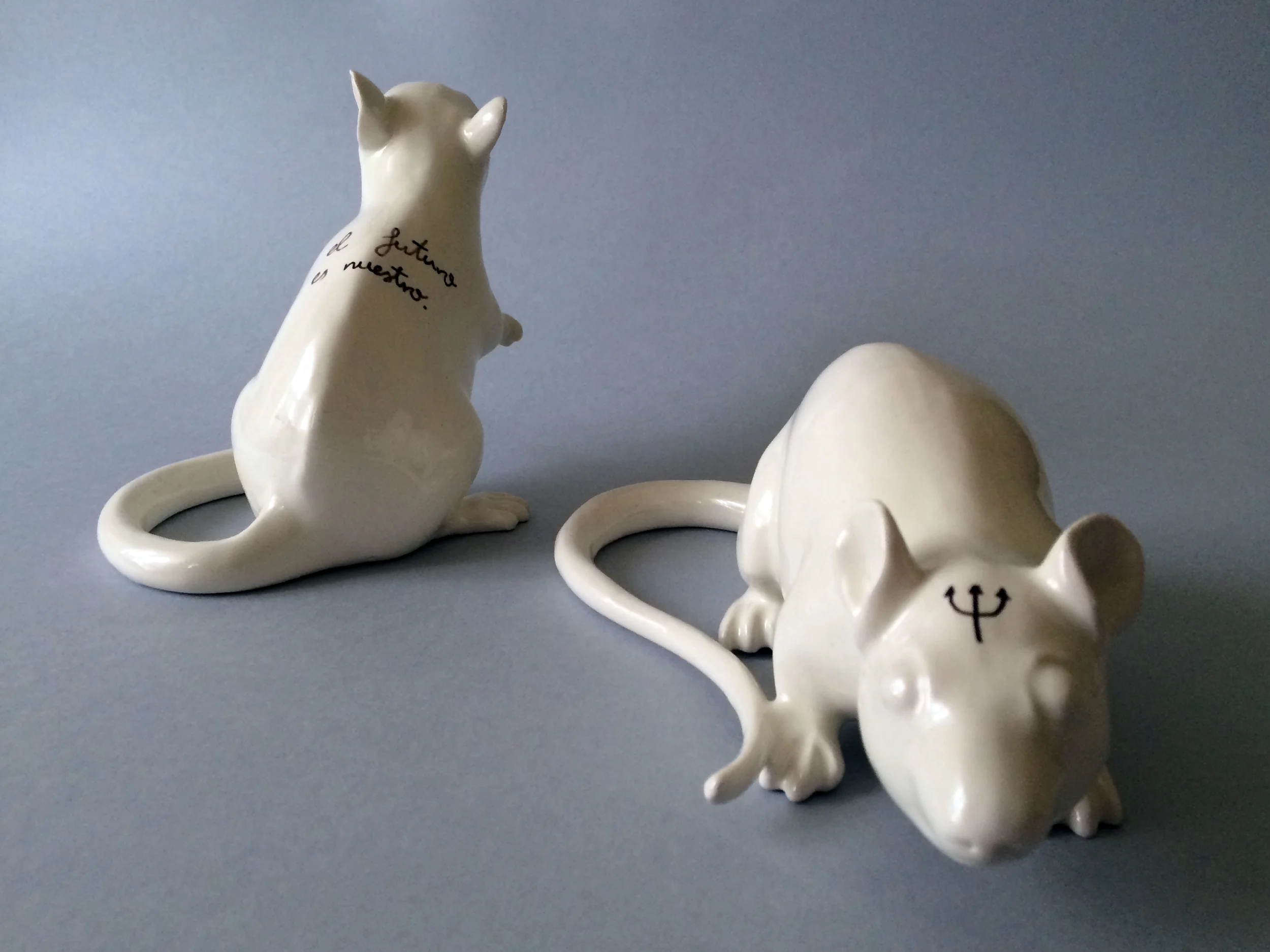 ratas alta2.jpg