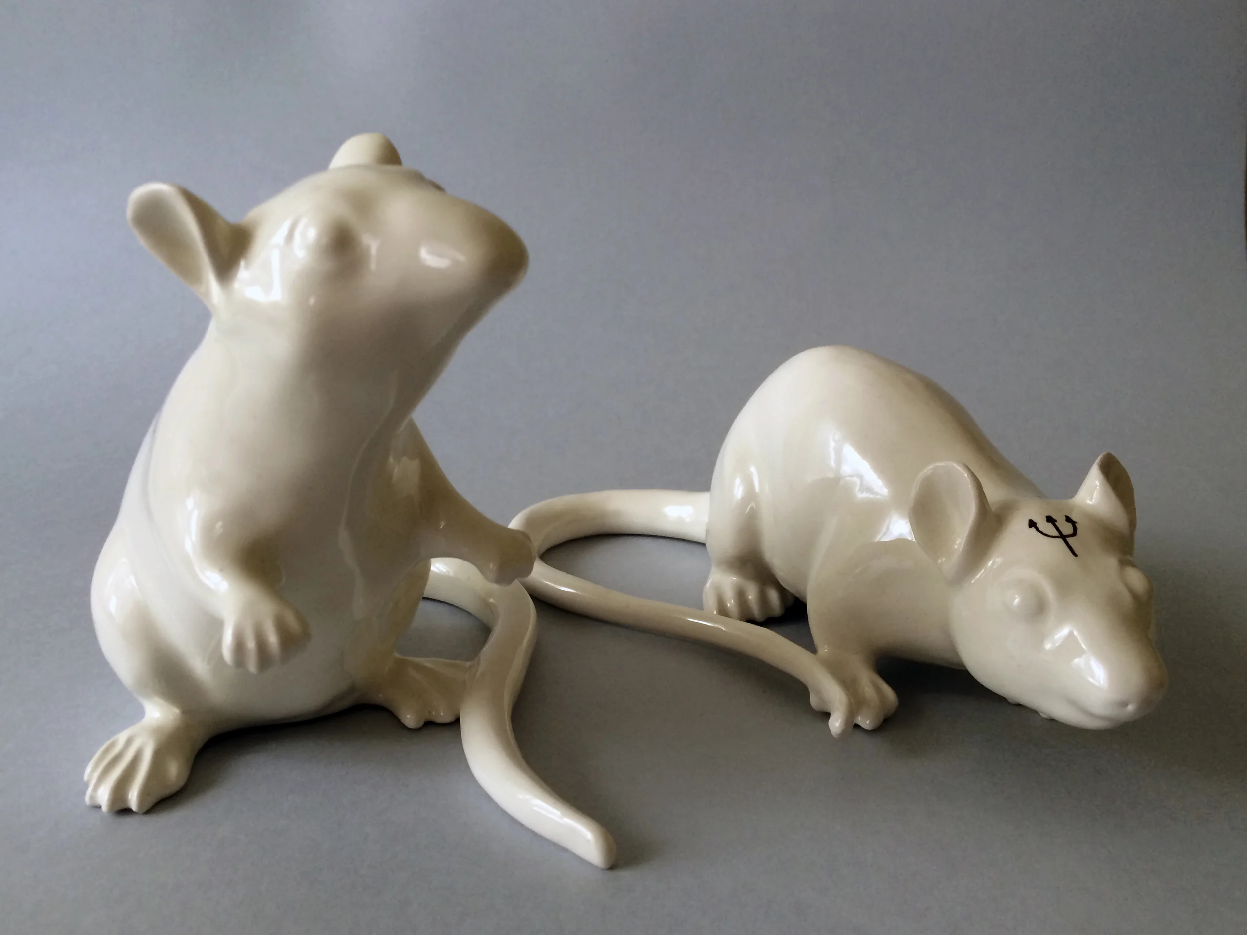 ratas alta1.jpg