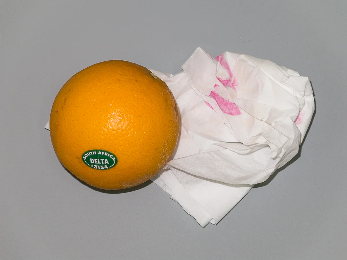 Fruit Stills: South Africa Orange