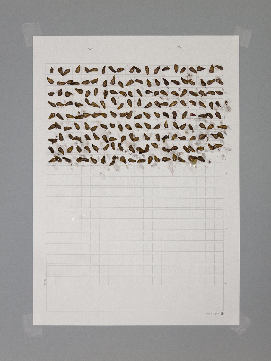 (VIDEO WORKS: Dumb Durational Piece) Grape Seed Grid Grid, 2015, South Korea Work on paper: grape seeds and saliva on manuscipt graph paper, 21 cm x 29.5 cm // 8.25 in x 11.75 in