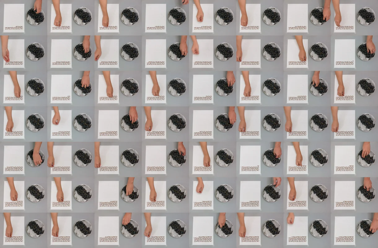 (VIDEO WORKS: Dumb Durational Piece) Grape Seed Grid Video Stills No. 2/4, 2015, South Korea