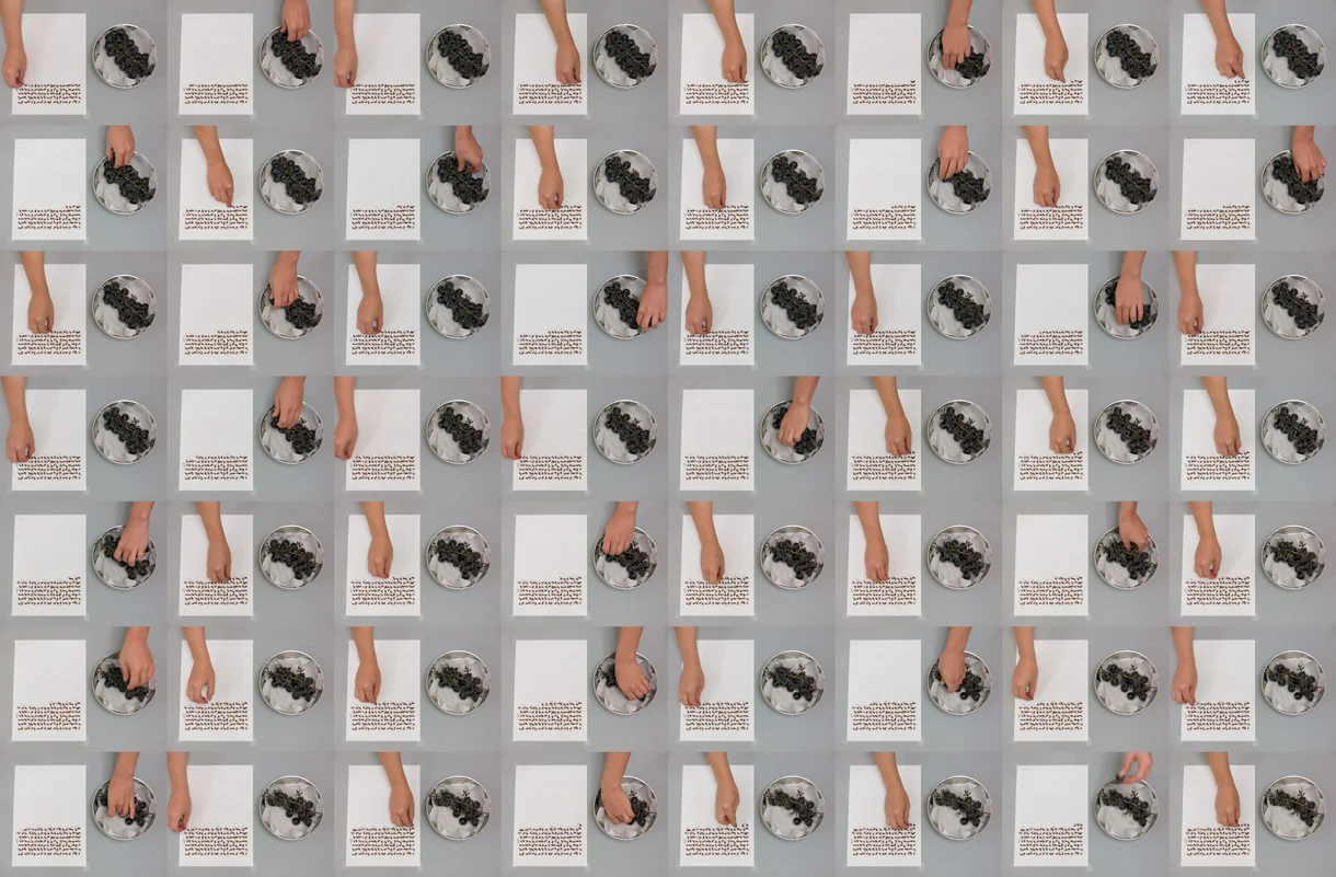 (VIDEO WORKS: Dumb Durational Piece) Grape Seed Grid Video Stills No. 3/4, 2015, South Korea