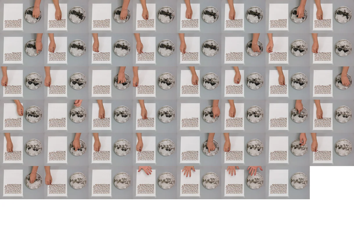 (VIDEO WORKS: Dumb Durational Piece) Grape Seed Grid Video Stills No. 4/4, 2015, South Korea