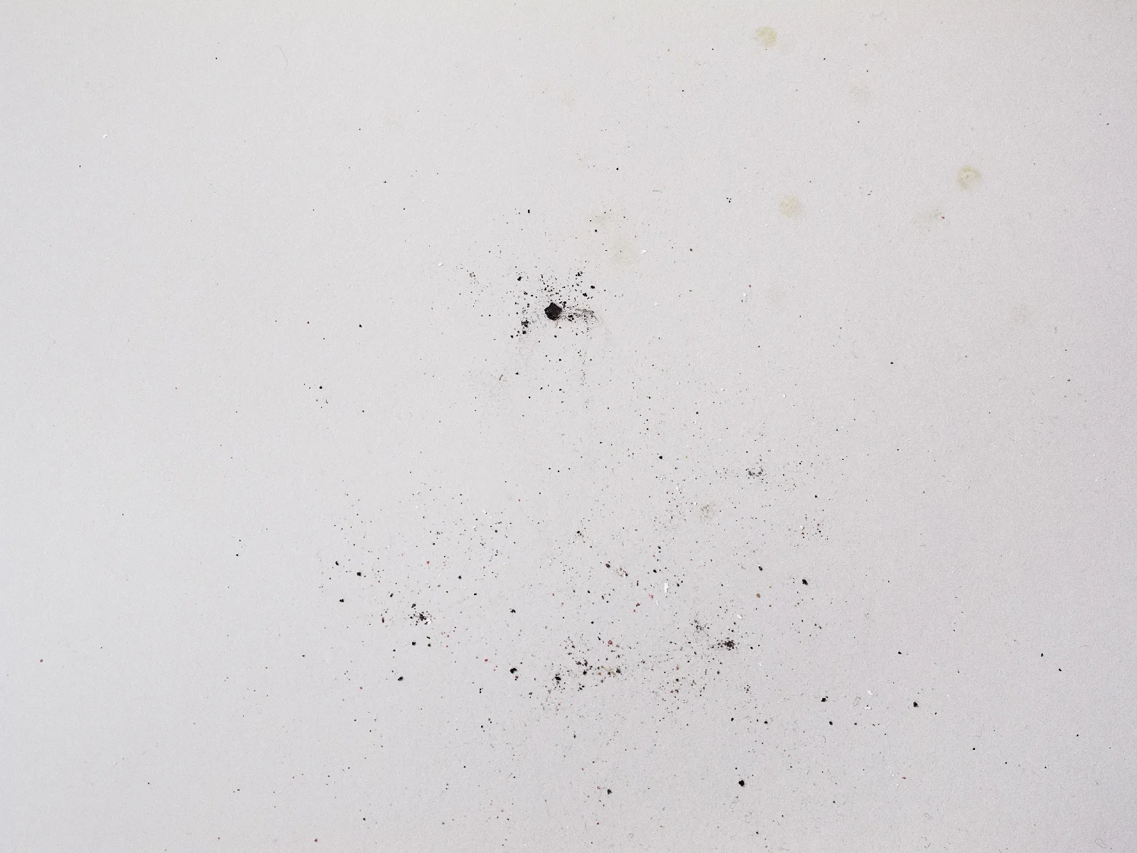 Burnt Offal, 2014 Pigment print on matte cotton rag paper, 13 x 19 inches, edition of 2