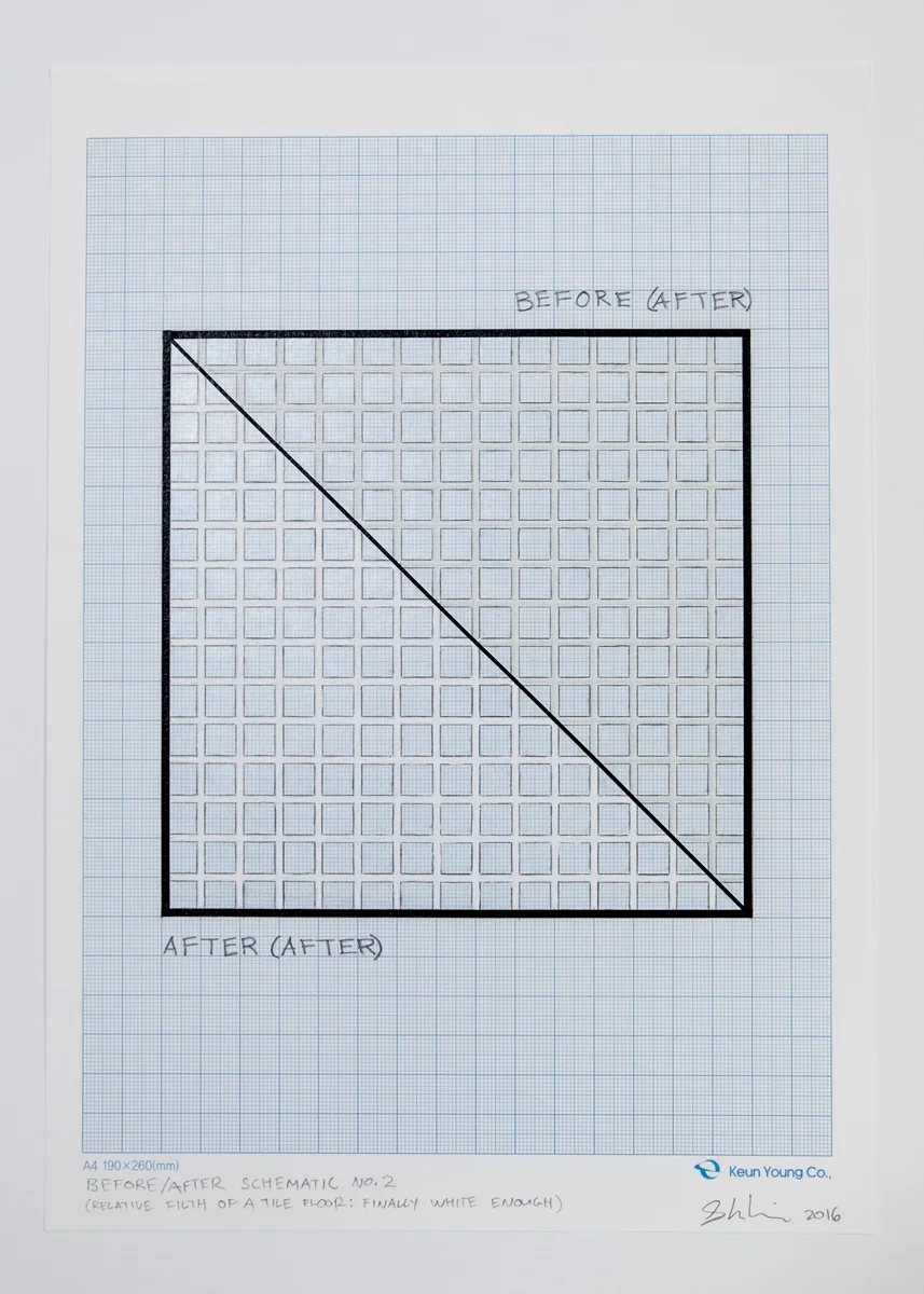 BEFORE/AFTER Schematic No.2 (2016)