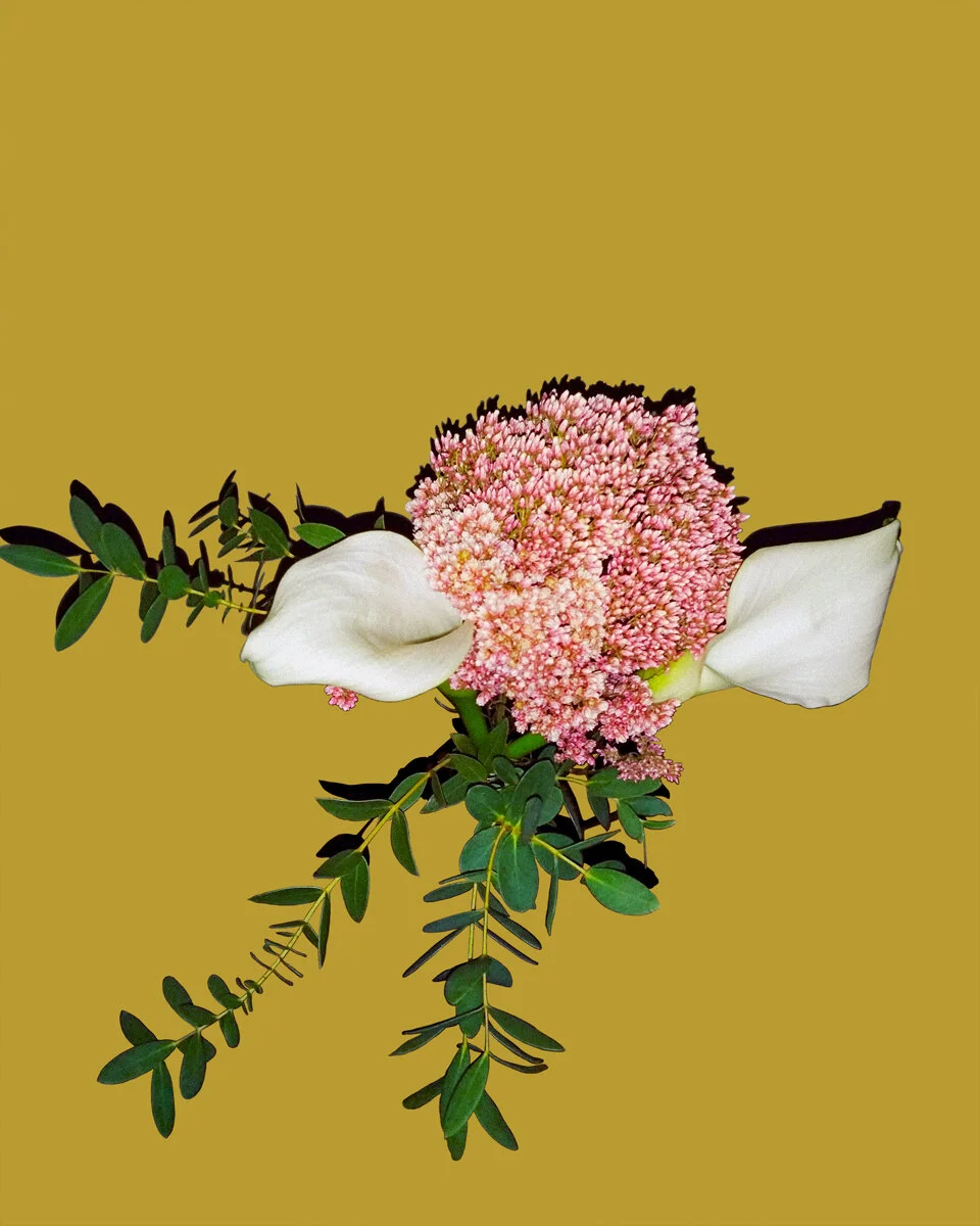 Gina Maree DeNaia - PHOTOGRAPHS - Night Flowers — Gina DeNaia 買い割引品 2) Flower(Act 邦楽
