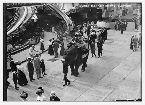 An elephant, apparently named Judy, gives a ride to a few (let's face it, probably unworthy) humans. Coney Island, June 18, 1911. ( Library of Congress )