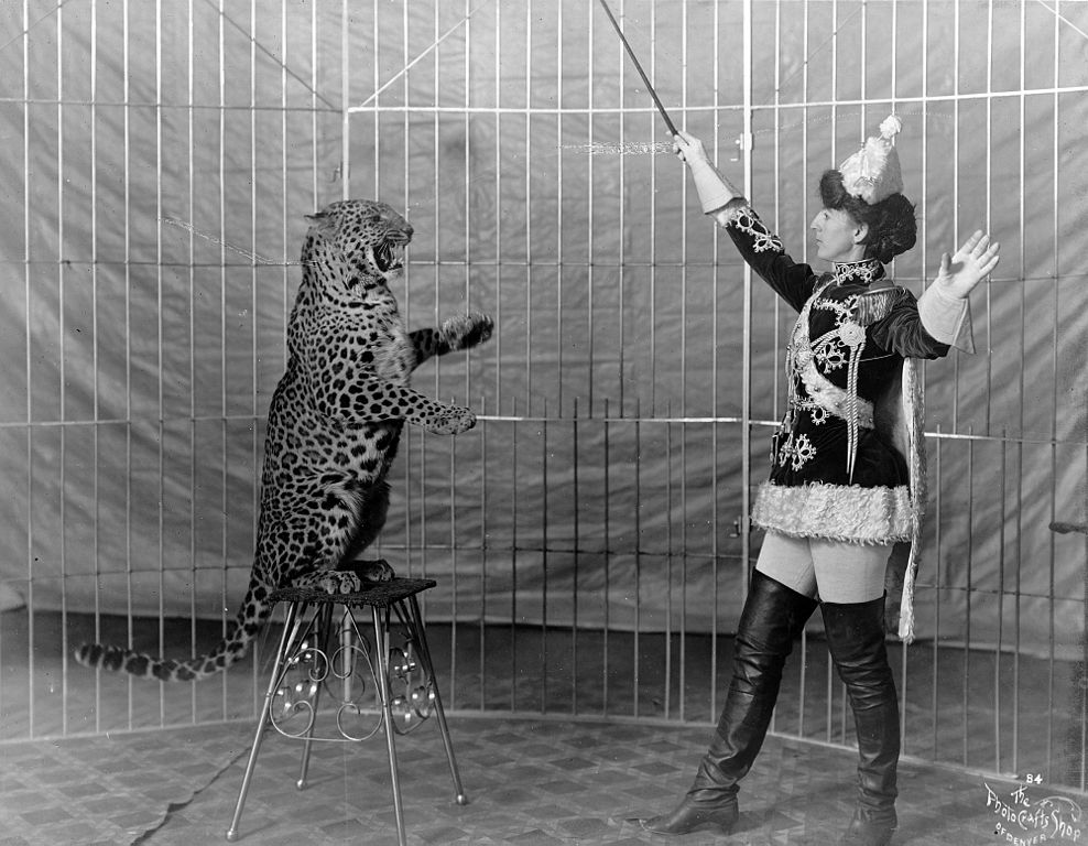 Vallecita the leopard trainer, 1906. 