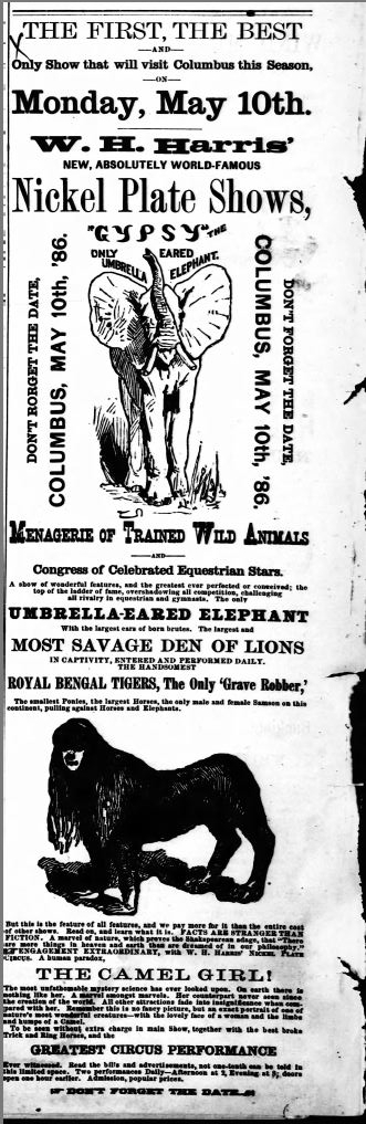 An ad for Ella's circus.