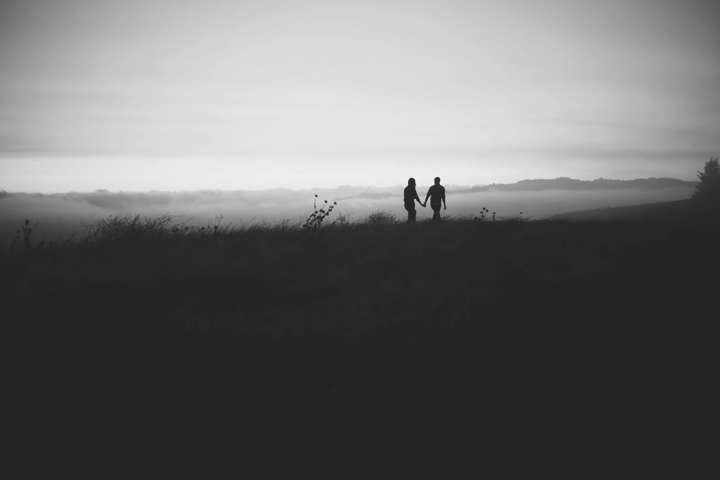 IMG_7584Edit.jpg