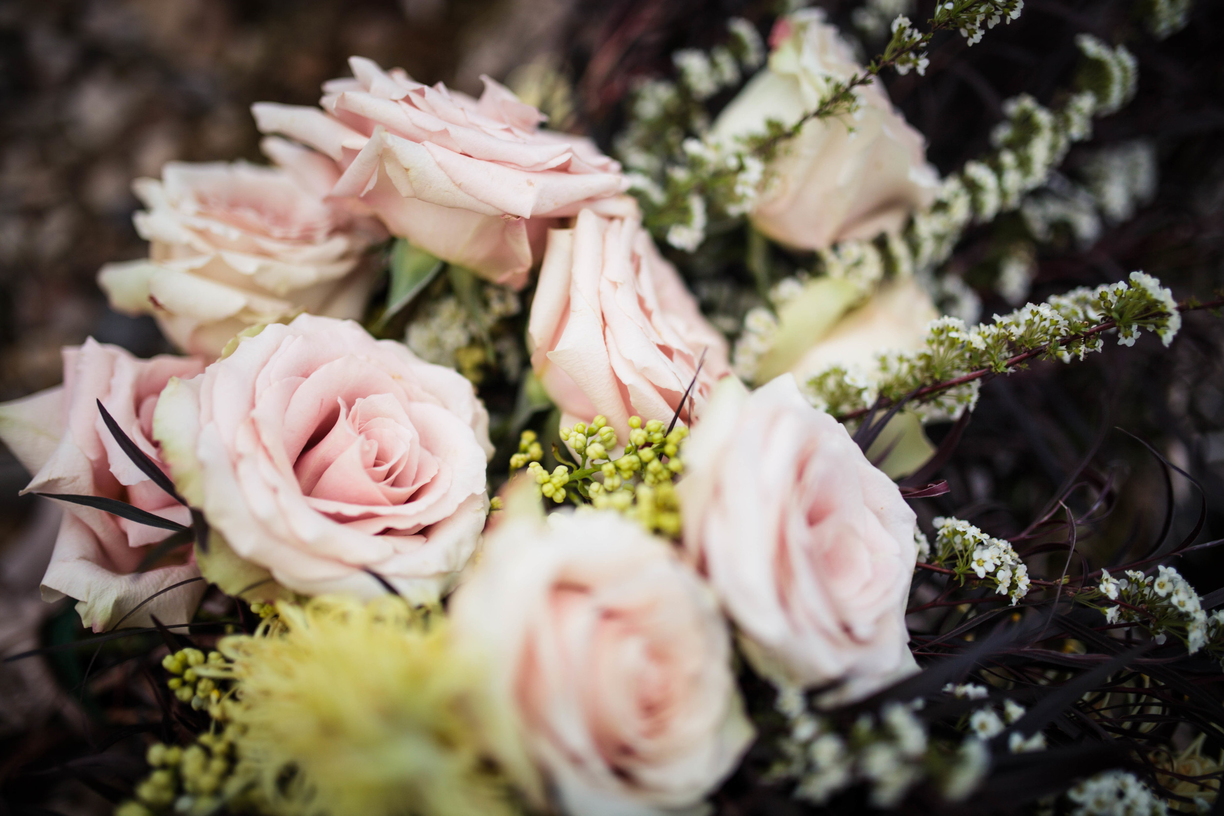 Candace & Thomas - Stylized Elopement - Whitney Justesen Photography-60.jpg