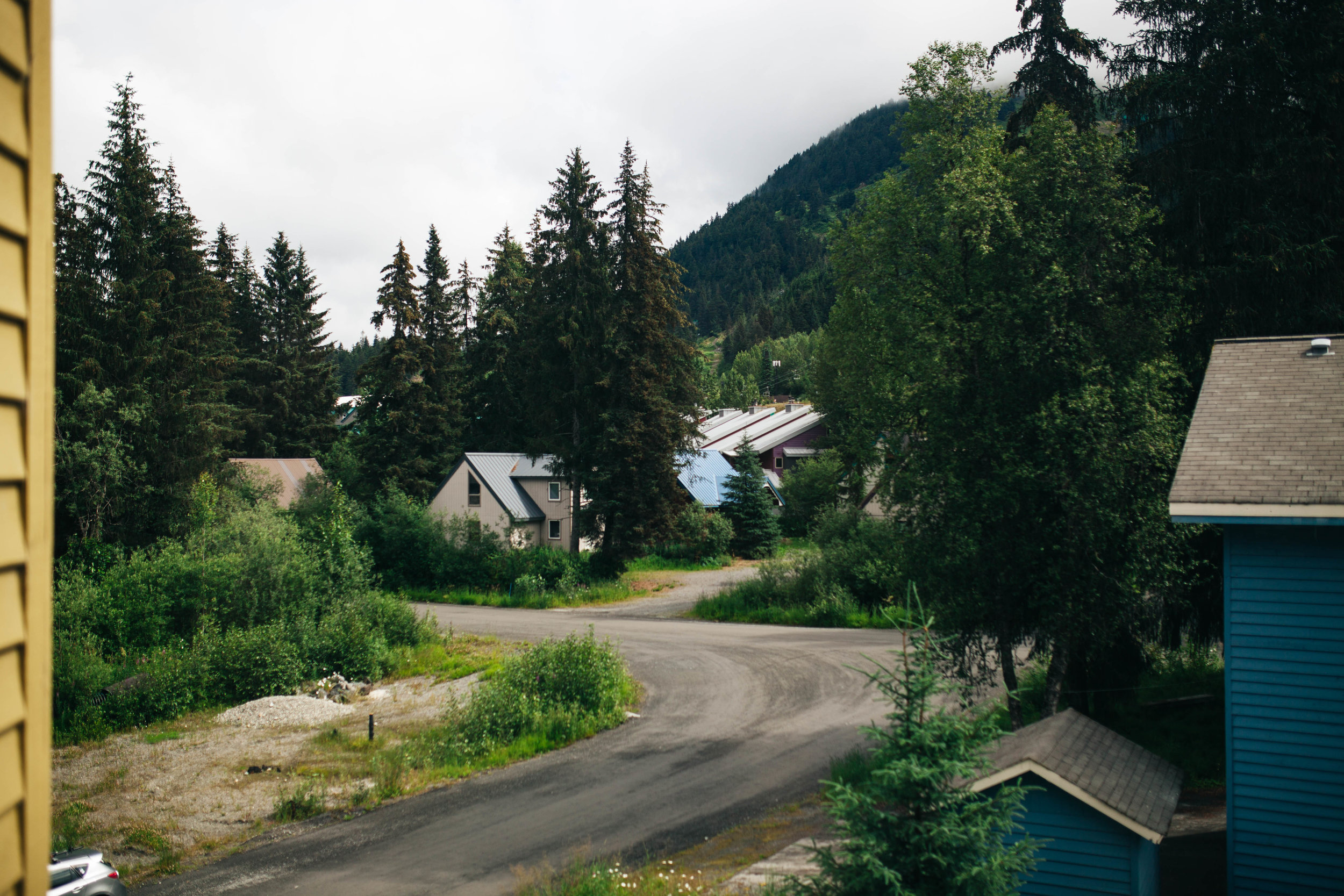 Nicole & Jerry's Girdwood Wedding -- Whitney Justesen Photography-65.jpg