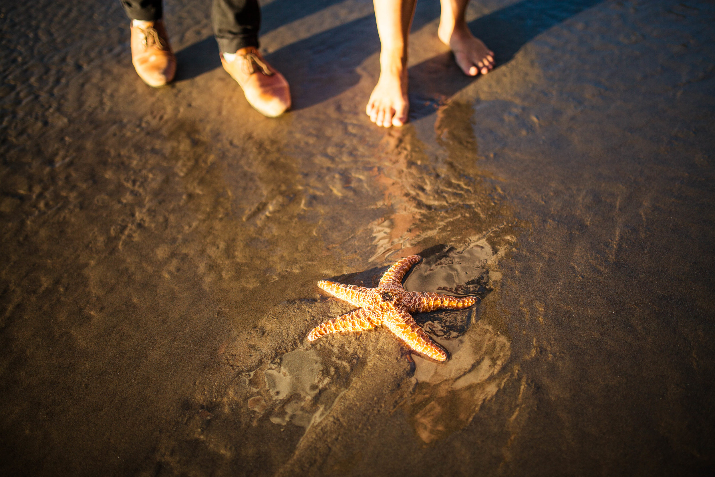 Matt & Beth -- Proposal on the Oregon Coast -- Whitney Justesen Photography-115.jpg