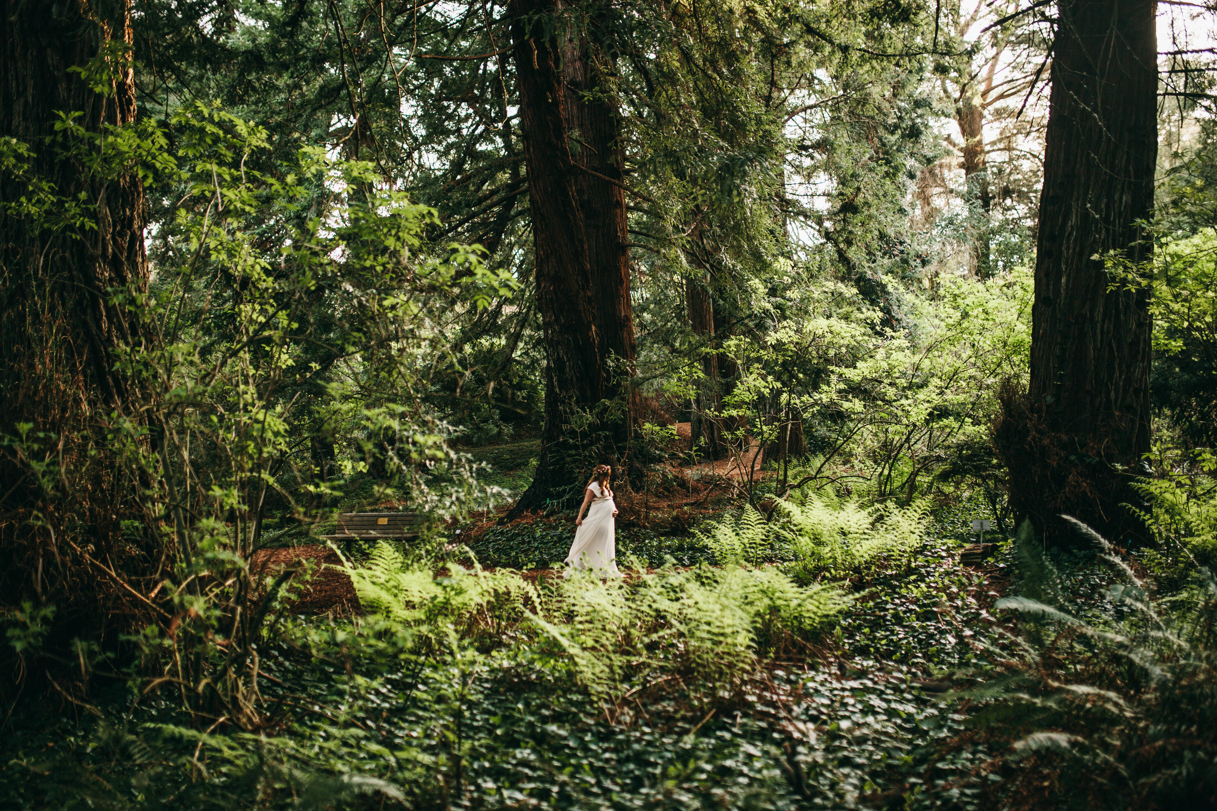 Ashley and Blake -- San Francisco Maternity -- Whitney Justesen Photography-98.jpg