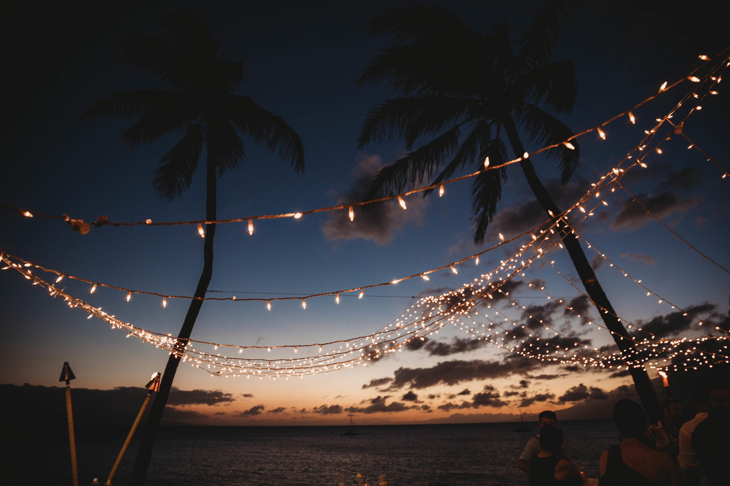 Kevin + Jordan -- A Maui Island Wedding -- Whitney Justesen Photography-656.jpg