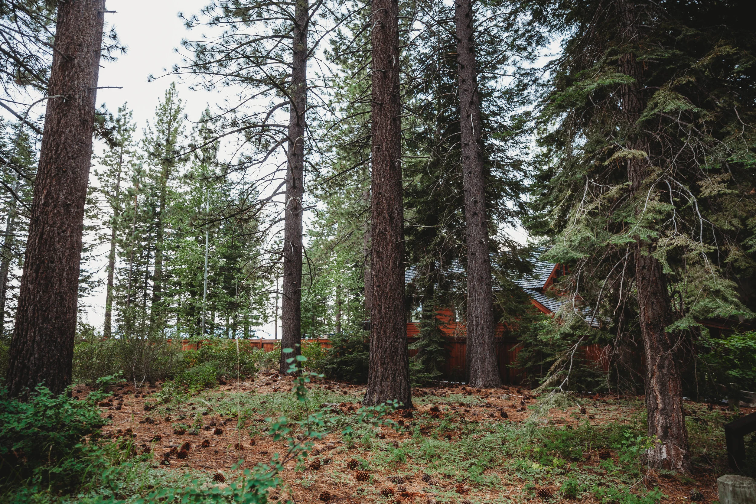 Ashley + John -- A Lake Tahoe Wedding -- Whitney Justesen Photography-5.jpg