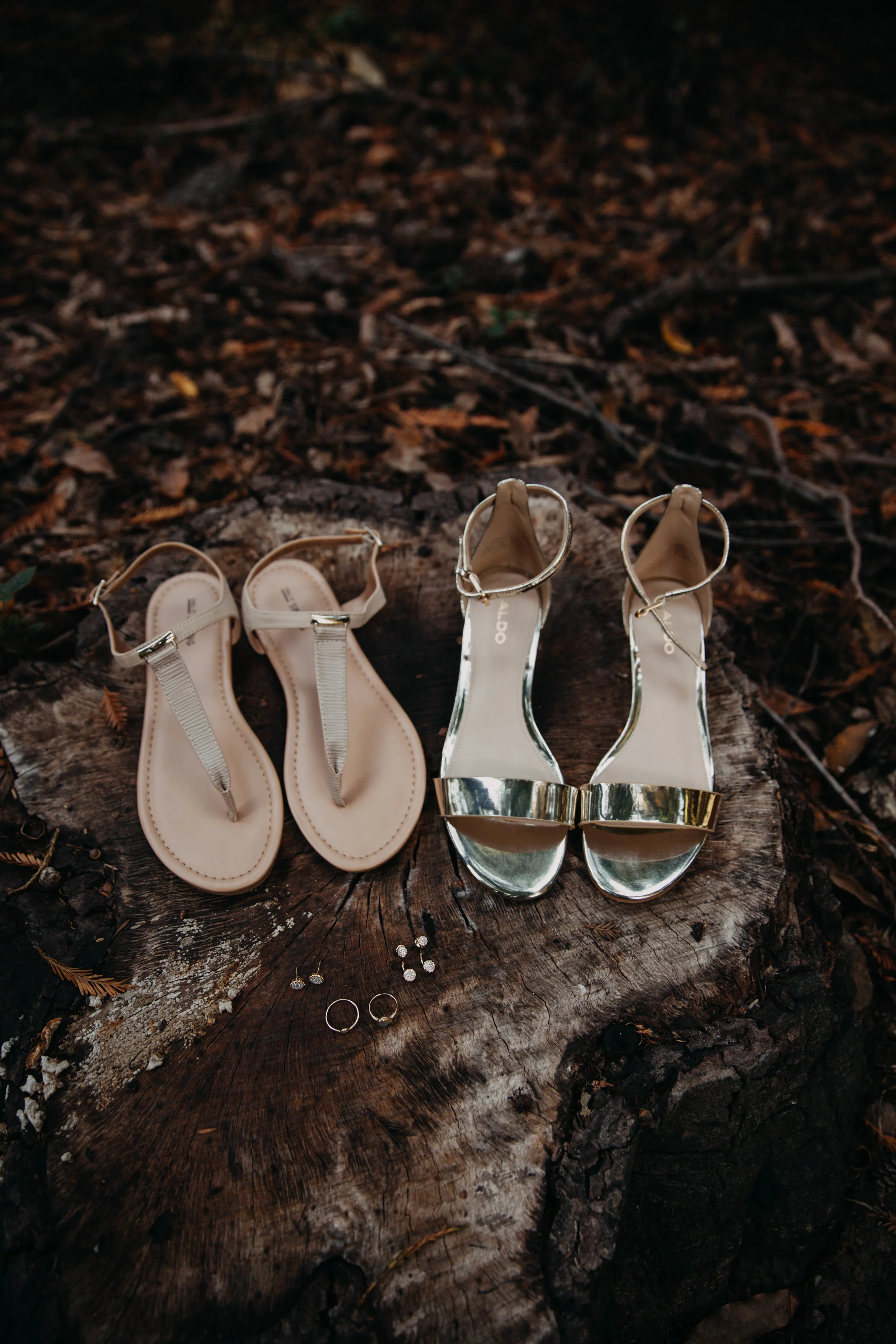 Meaghan + Jen -- An Intimate Big Sur Elopement -- Whitney Justesen Photography-9.jpg