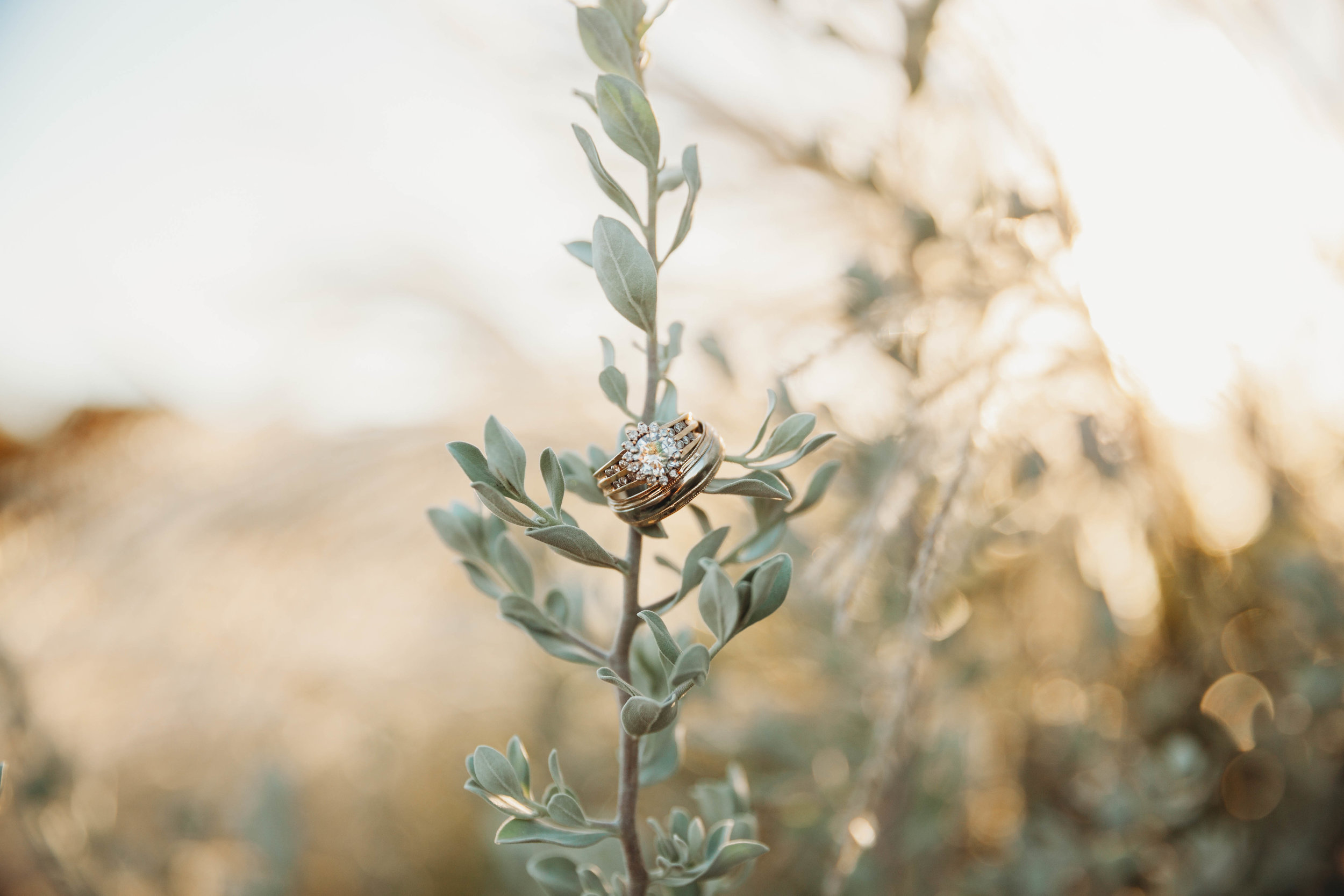 Kendra + Nick -- A White Barn Wedding -- Whitney Justesen Photography-715.jpg