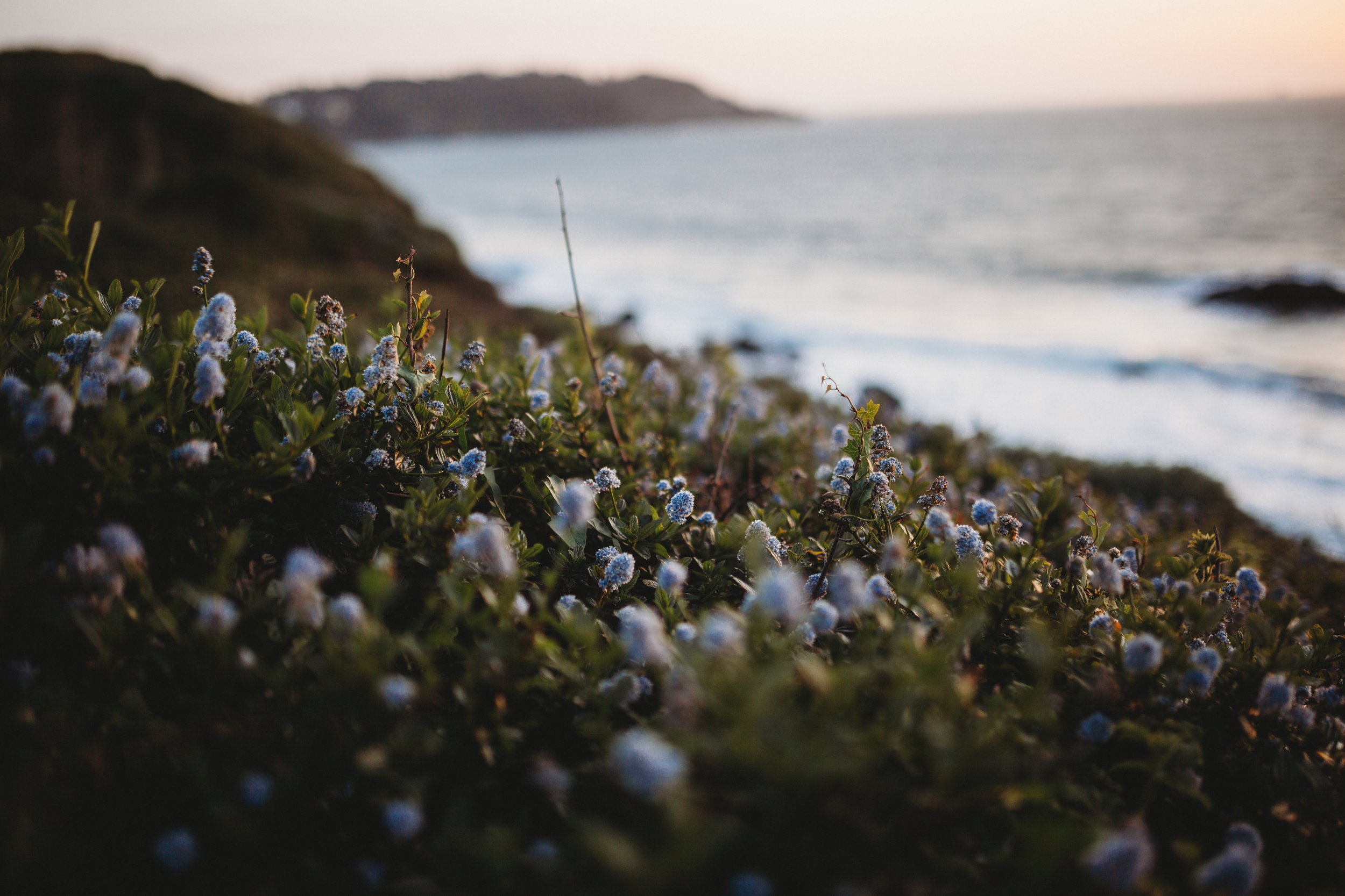 Sophia + Tom -- San Francisco Engagements -- Whitney Justesen Photography-200.jpg