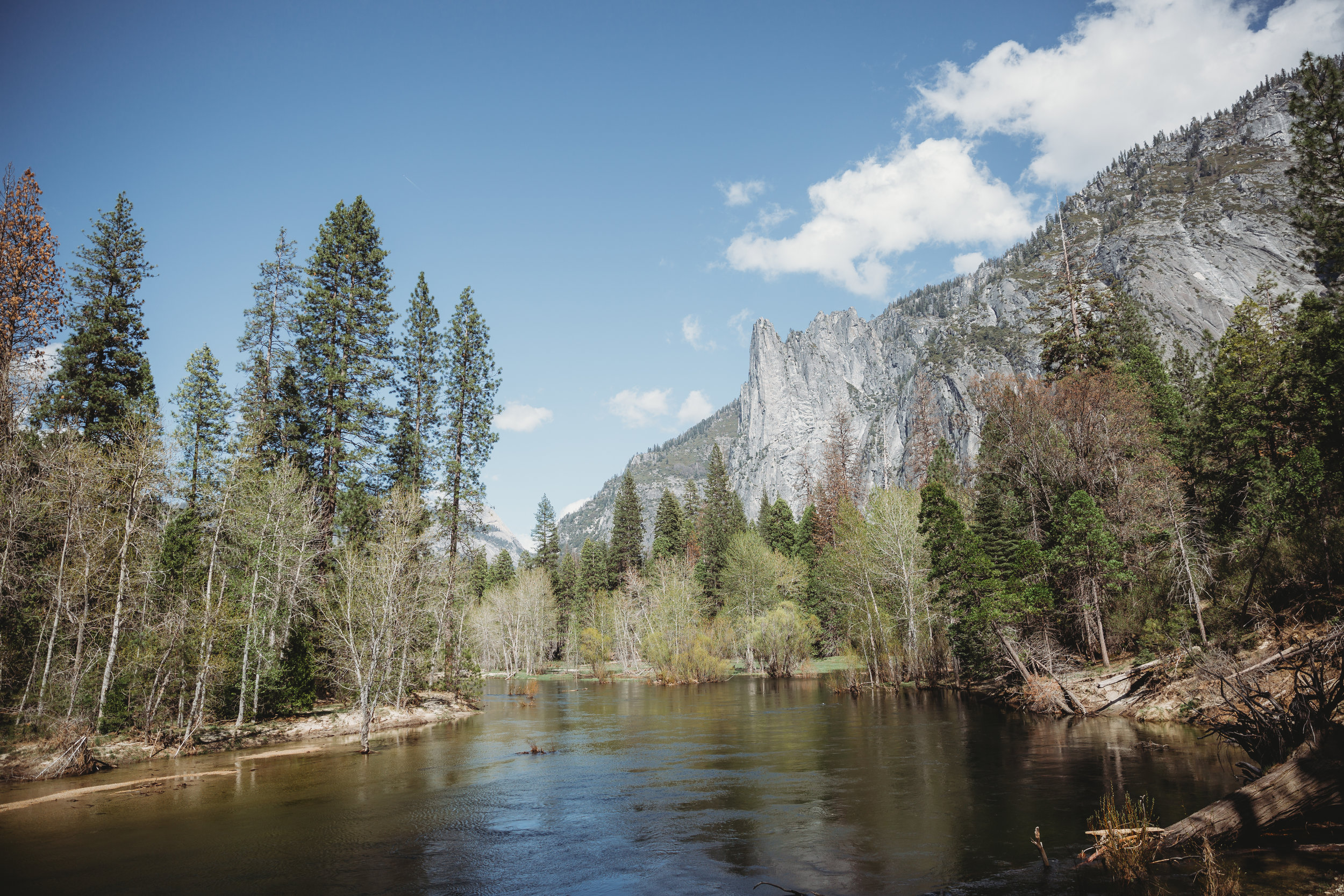 Amanda + Derek -- Intimate Yosemite Wedding -- Whitney Justesen Photography-1.jpg