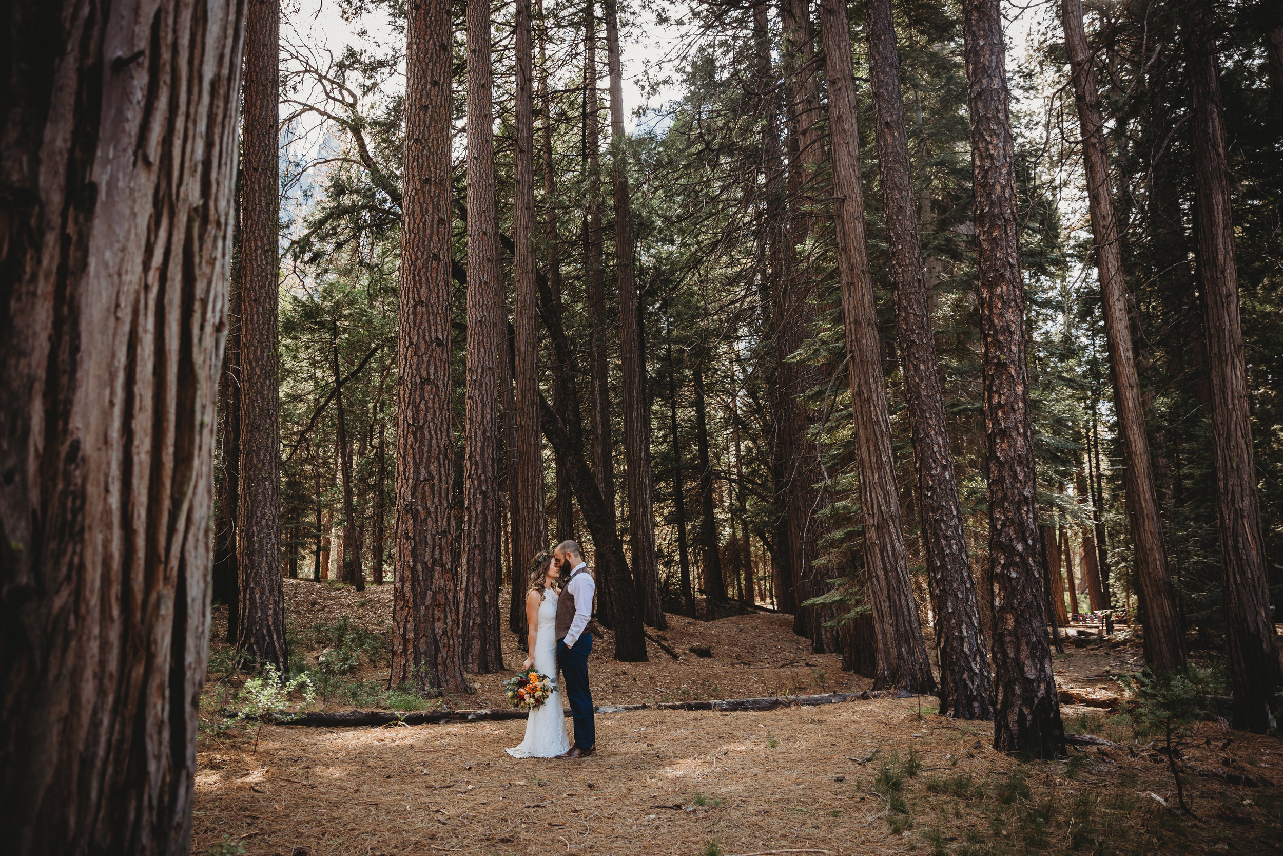 Amanda + Derek -- Intimate Yosemite Wedding -- Whitney Justesen Photography-222.jpg