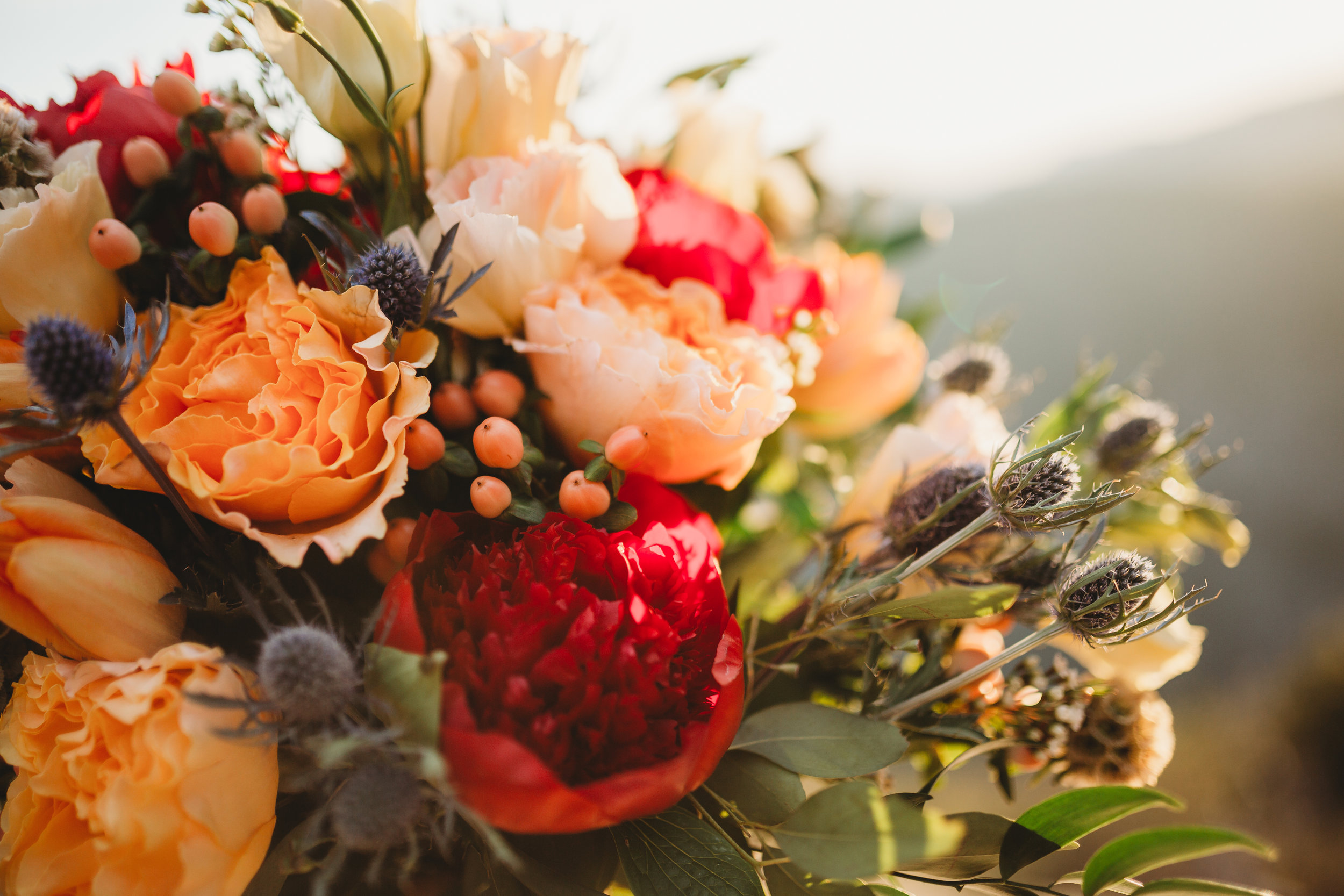 Amanda + Derek -- Intimate Yosemite Wedding -- Whitney Justesen Photography-436.jpg