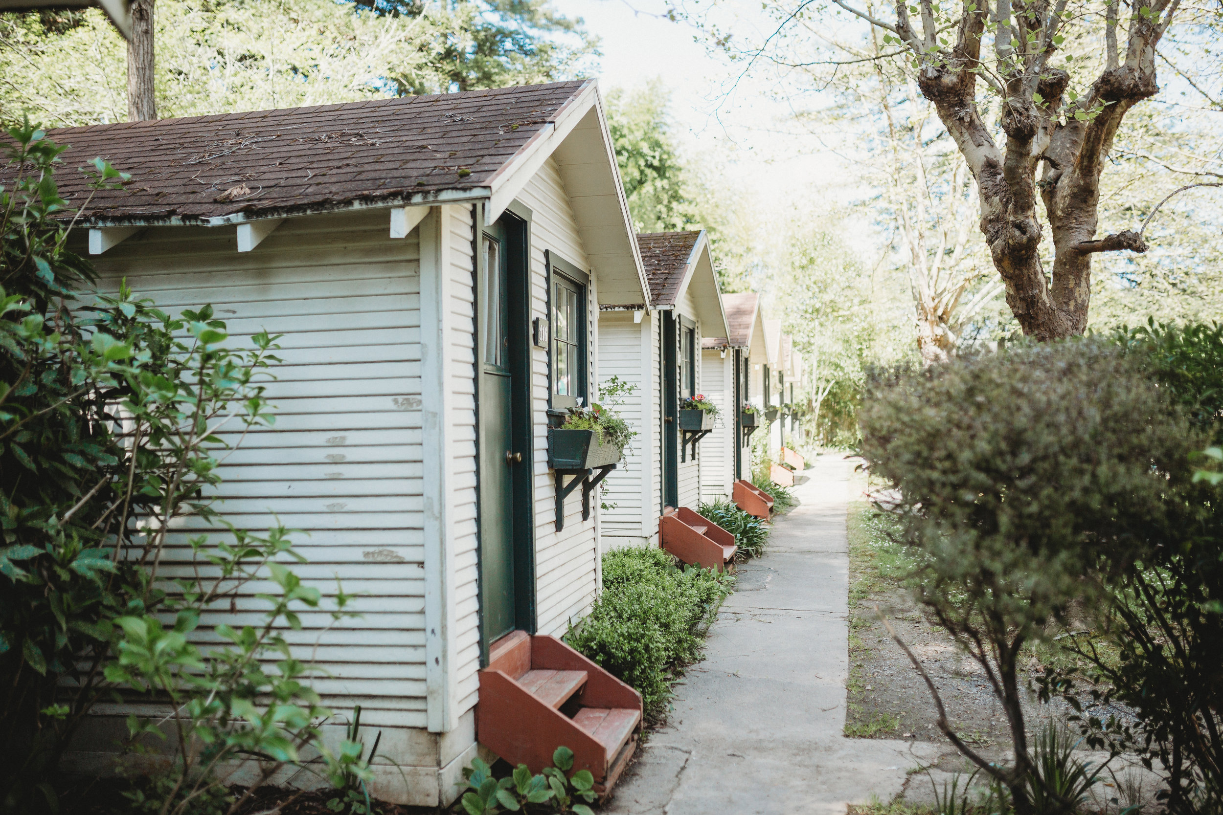 Ben + Alisa -- Dawn Ranch Wedding -- Whitney Justesen Photography-75.jpg