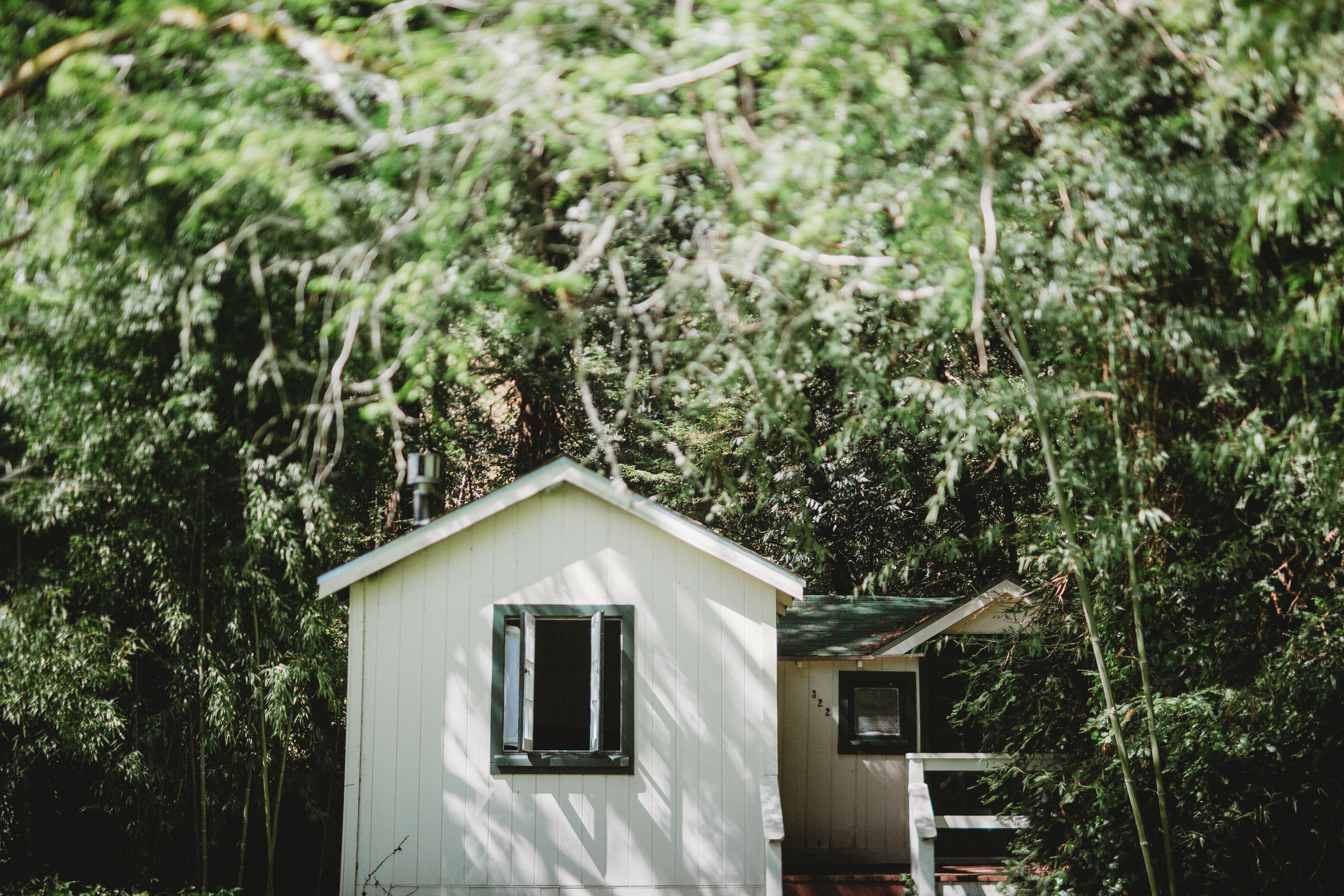 Ben + Alisa -- Dawn Ranch Wedding -- Whitney Justesen Photography-214.jpg