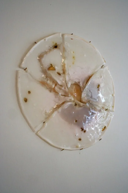 Untitled Rondelle #2 (2011)