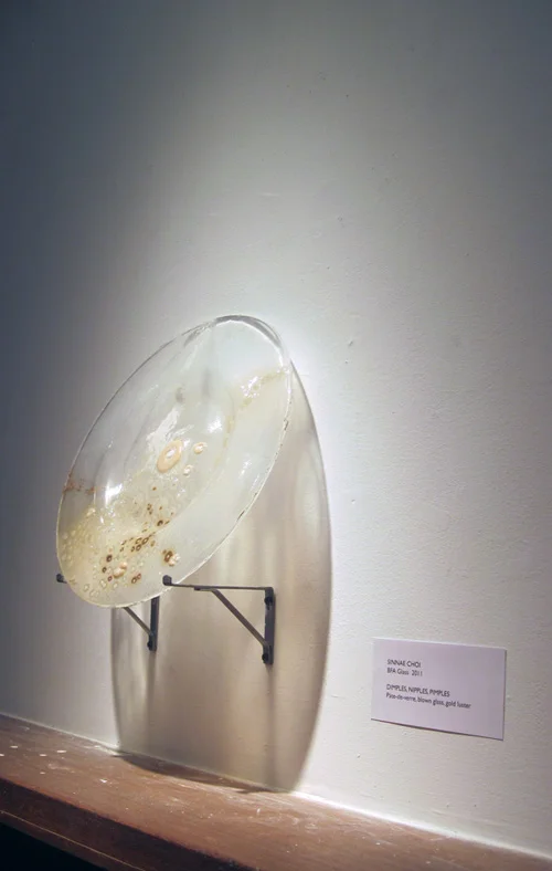 Dimples, Nipples, Pimples (2011)