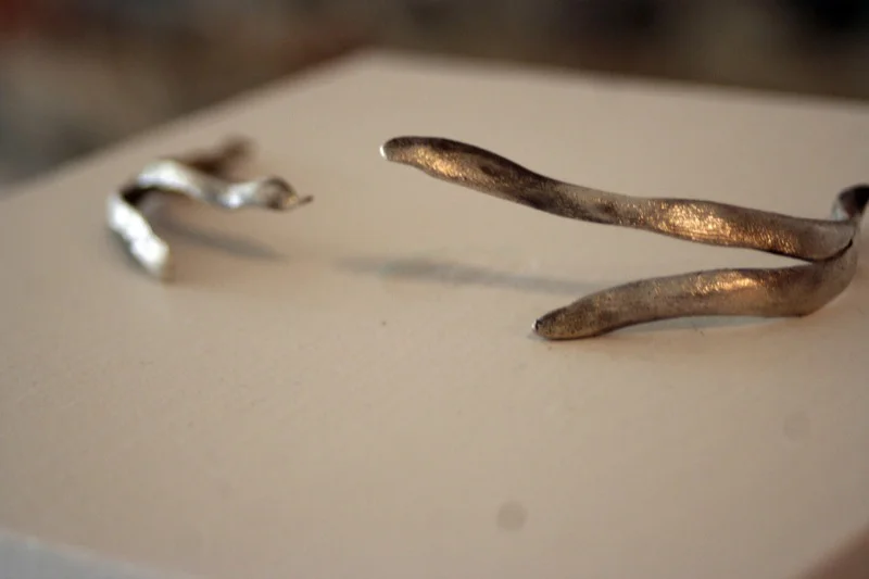 Lifeline Wishbones (2011)