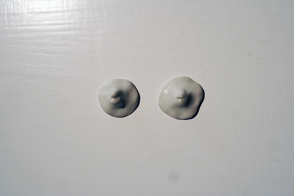 Utensil Kit for Feminine Beauty (2010)