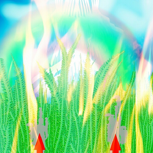 Screen shot 2014-02-23 at 2.04.13 AM.png