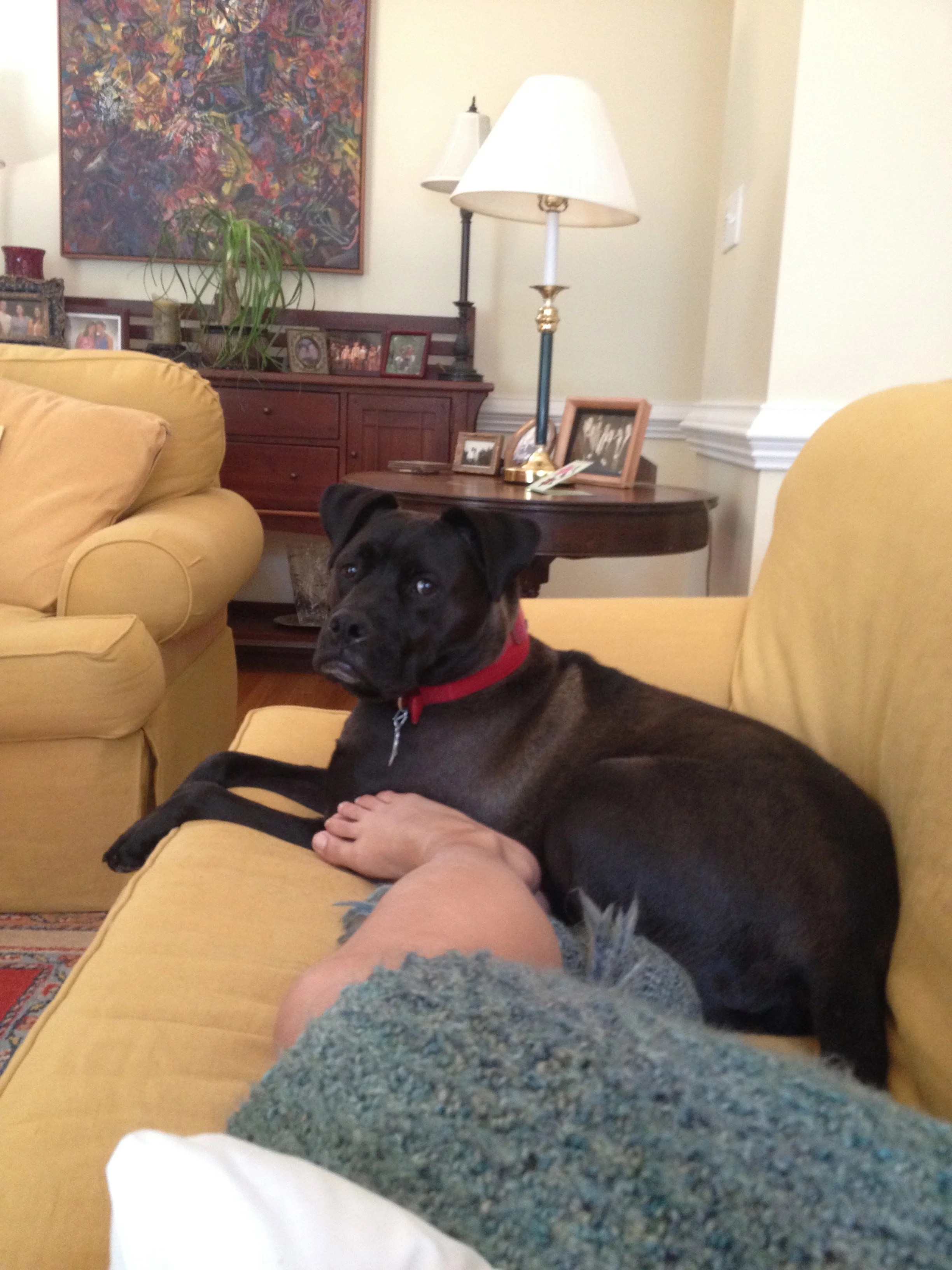 Couch snugs... all day (even when I would get up, he followed me everywhere)