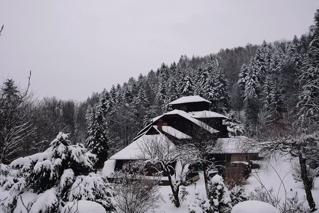 DSC_4470.jpg