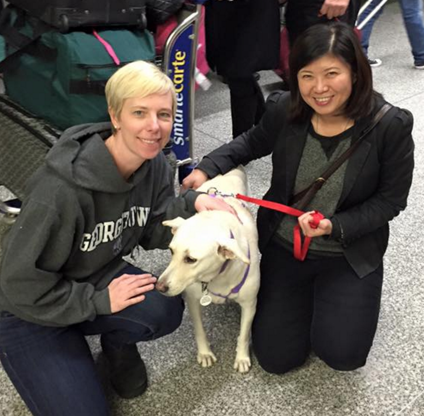 Diana's org is constantly looking for the traveler who flys between Taiwan and US to help so that they can transport the animal as flight carry-on.