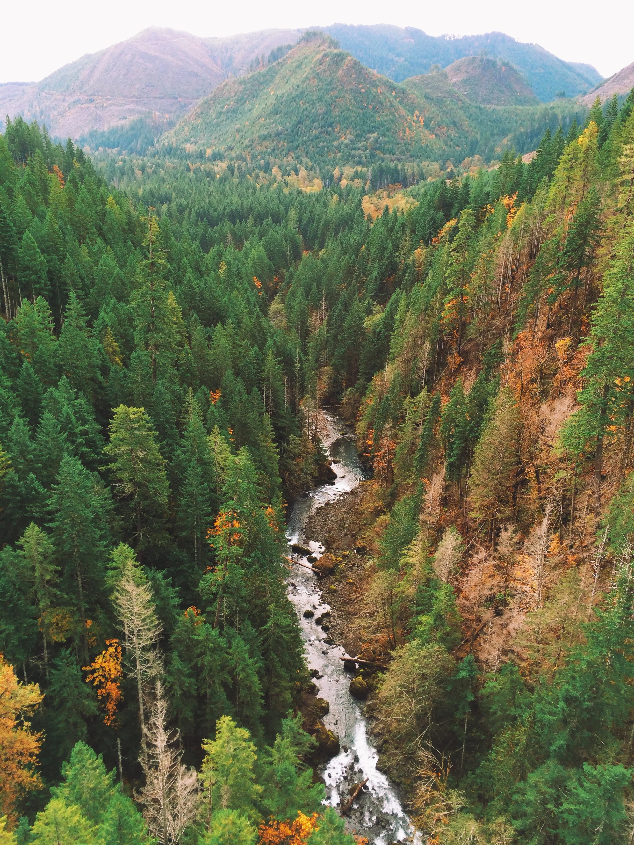 what is home fin.JPG